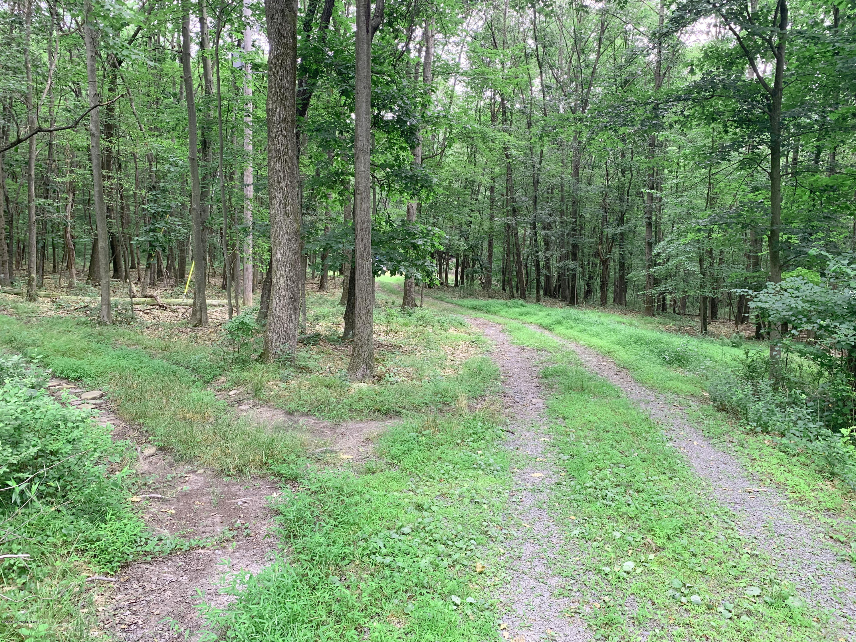 200 Williams Road Cresco, PA 18326 - Photo 3 of 21 a view of a lush green forest