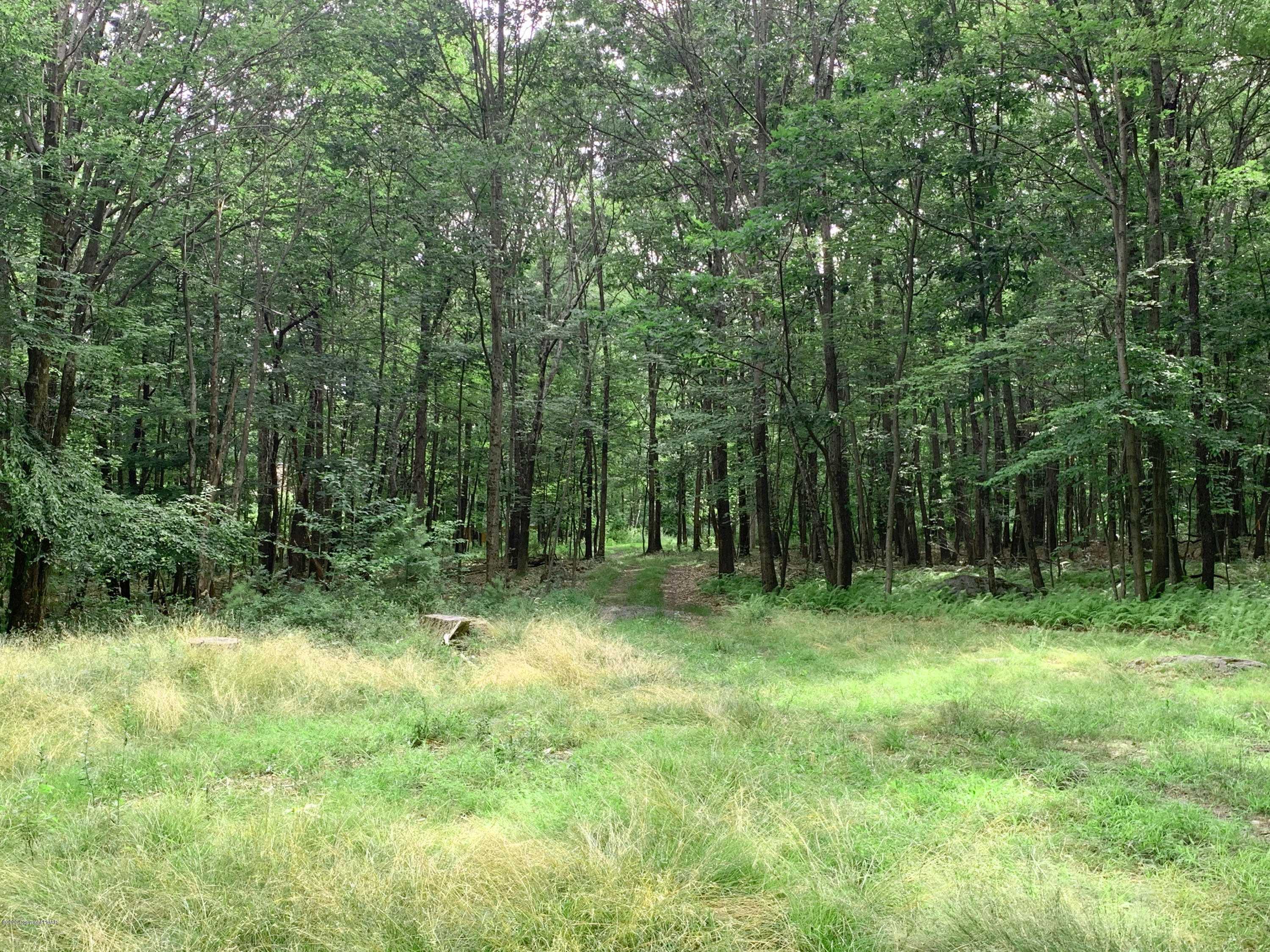 200 Williams Road Cresco, PA 18326 - Photo 7 of 21 a view of outdoor space with green field and trees