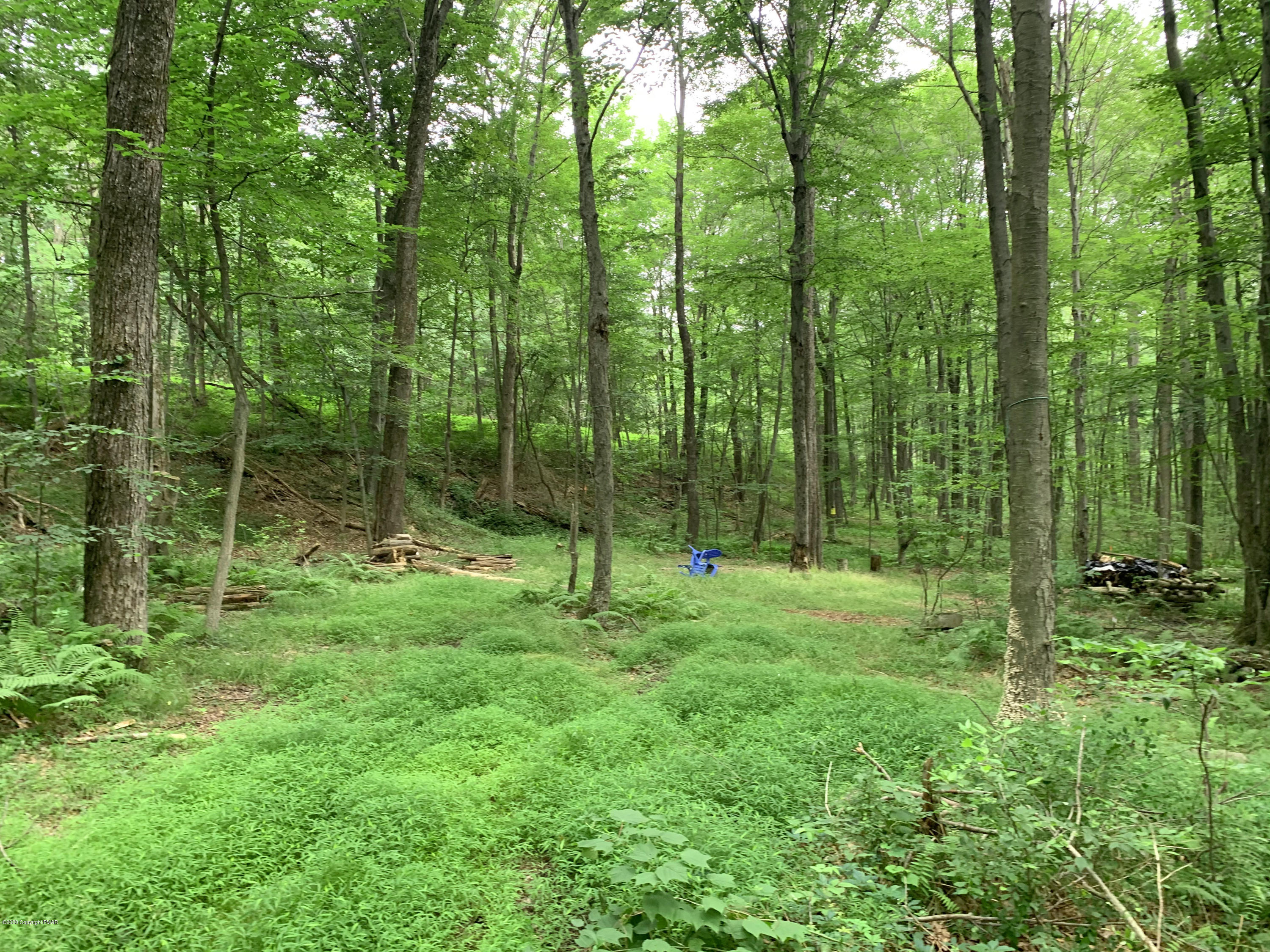200 Williams Road Cresco, PA 18326 - Photo 8 of 21 a view of lush green forest