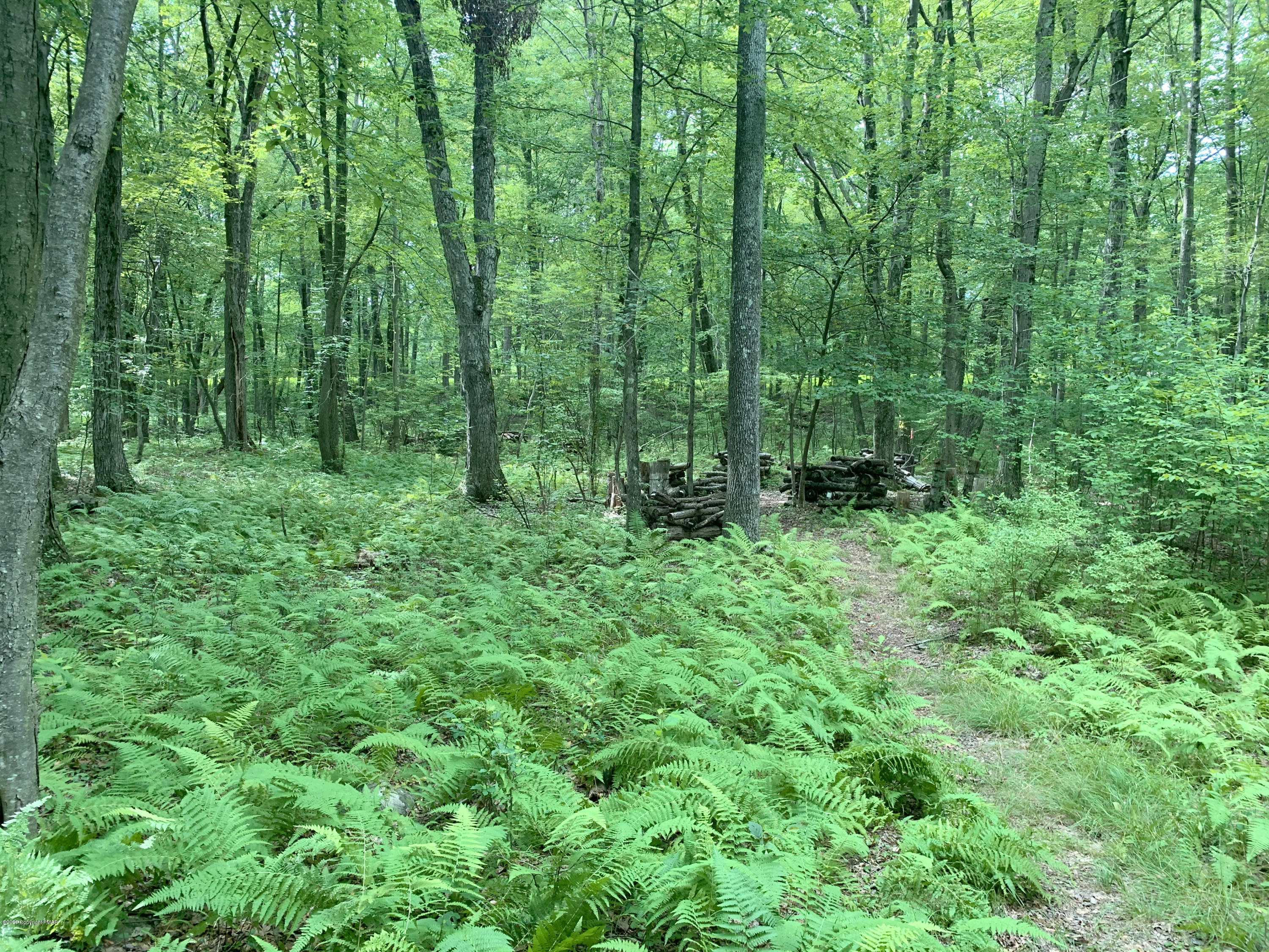200 Williams Road Cresco, PA 18326 - Photo 10 of 21 a view of outdoor space and green space