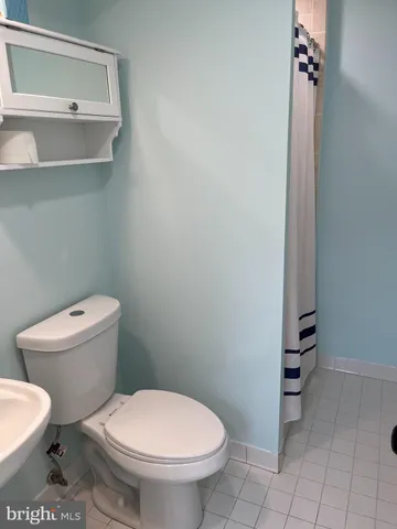 a white toilet sitting next to a shower curtain