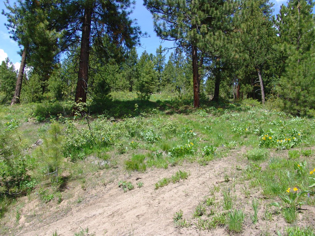 28 Rehn Loop, Unit 2 Cascade, ID 83611 - Photo 6 of 13 Elevated Building Site With a Roughed In Driveway