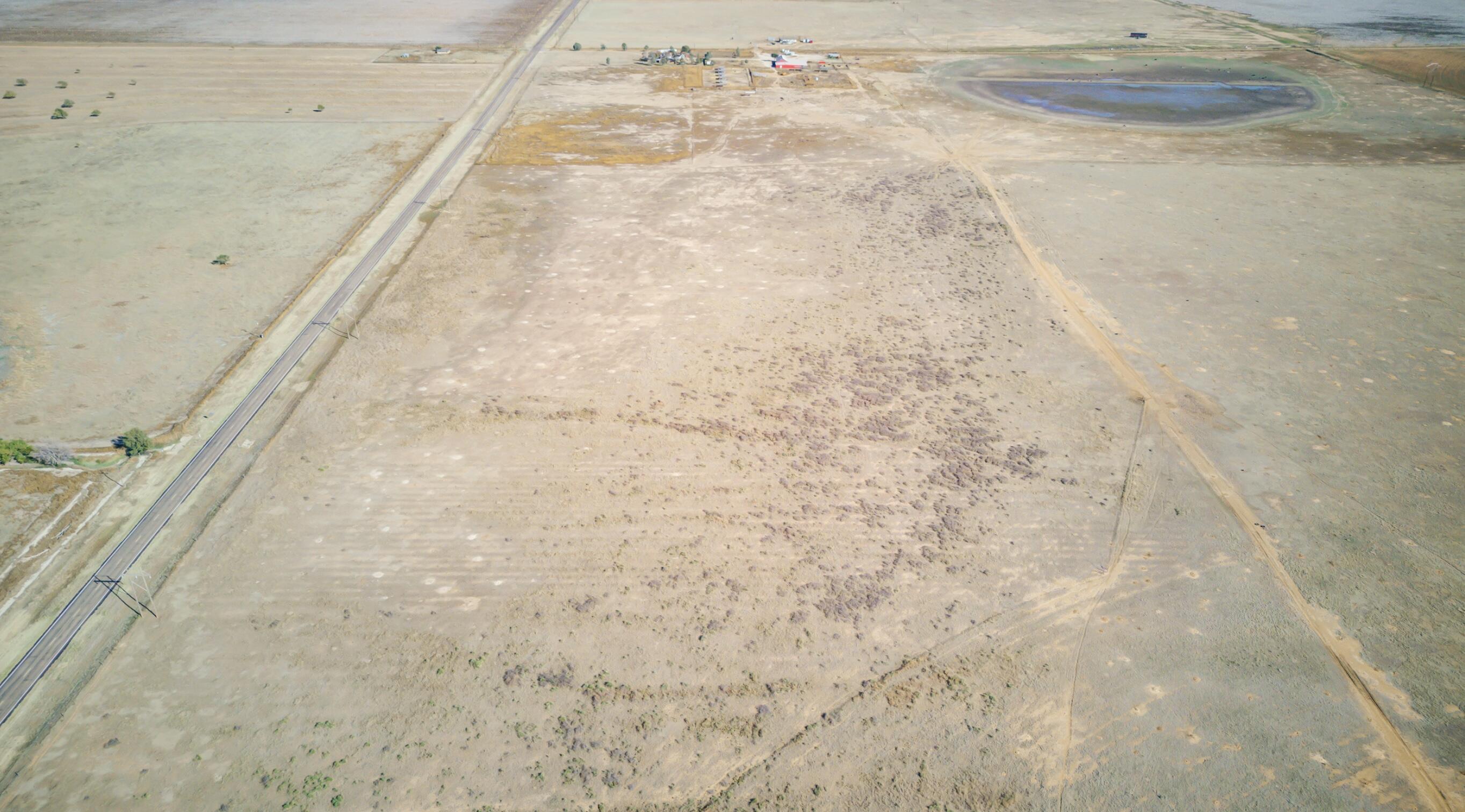 54 / Tract 10 Abernathy, TX 79311 - Photo 6 of 19 IMG_2221