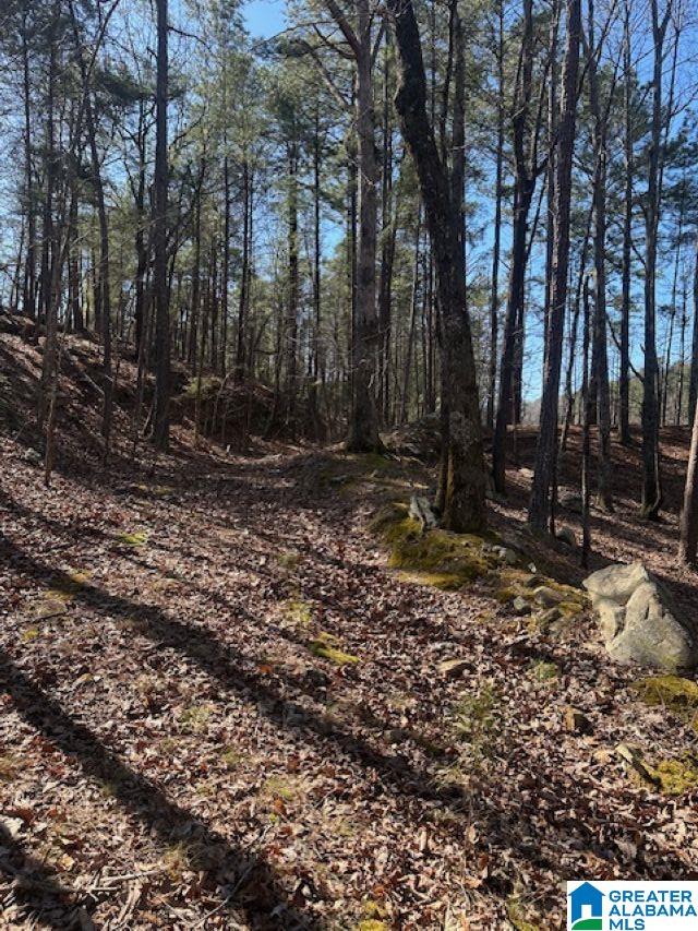 1 Mountain Top Road, Unit 1 Trussville, AL 35173 - Photo 17 of 17
