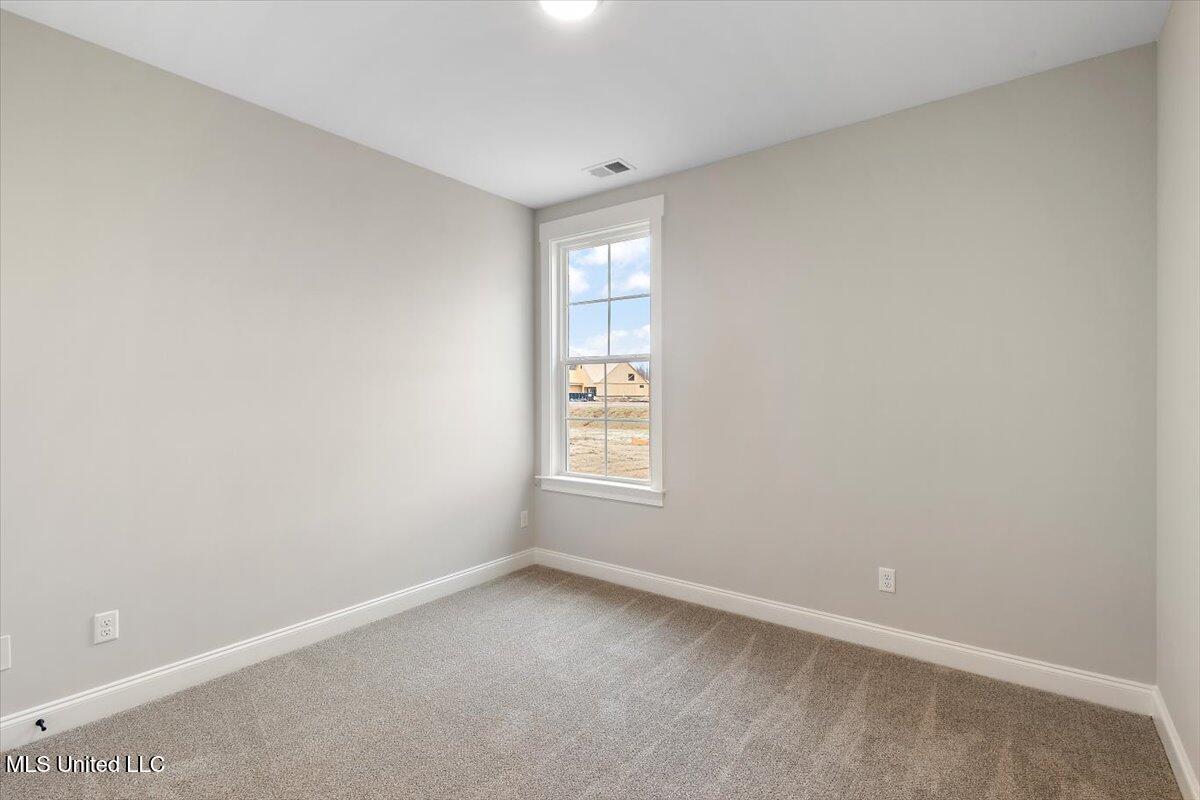 726 Coahoma Court Nesbit, MS 38651 - Photo 22 of 37 Arcola