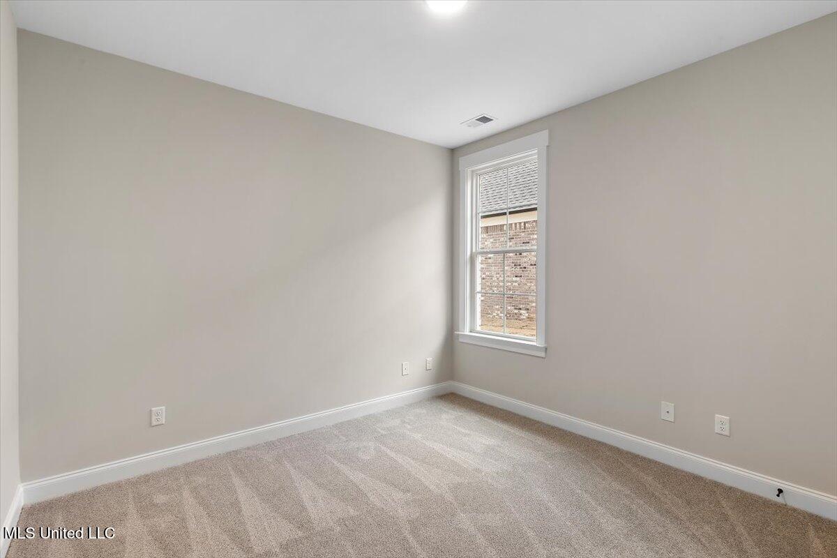 726 Coahoma Court Nesbit, MS 38651 - Photo 26 of 38 Arcola