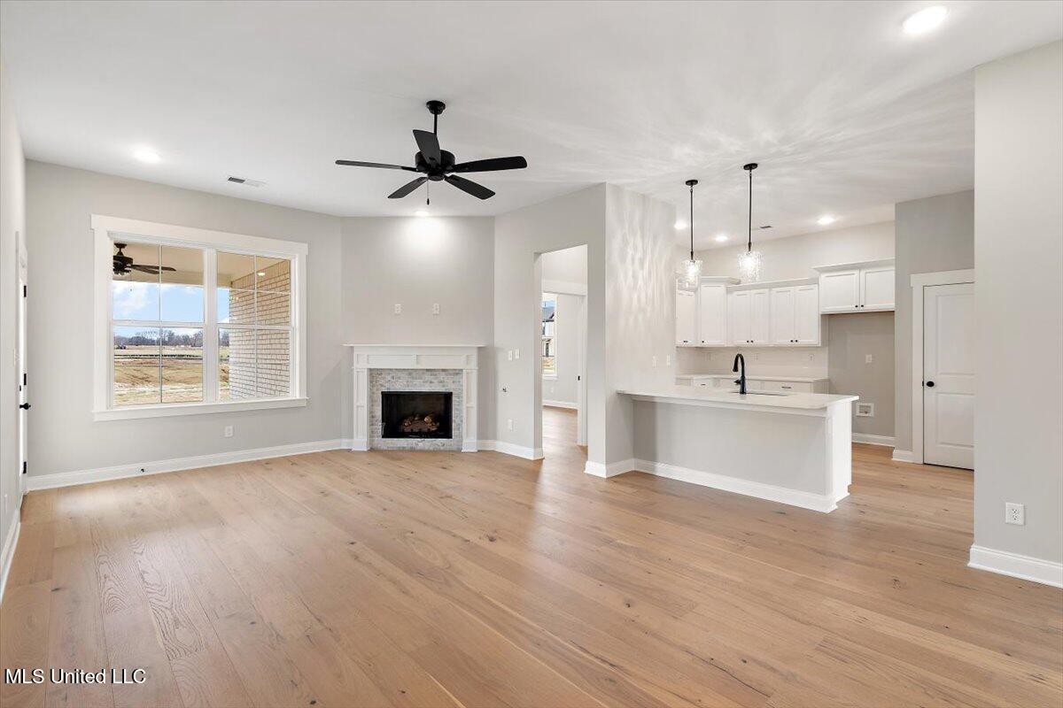 726 Coahoma Court Nesbit, MS 38651 - Photo 10 of 38 Arcola