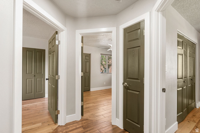55 Spring Drive Toquerville, UT 84774 - Photo 19 of 36 Corridor featuring a textured ceiling and light wood-style floors