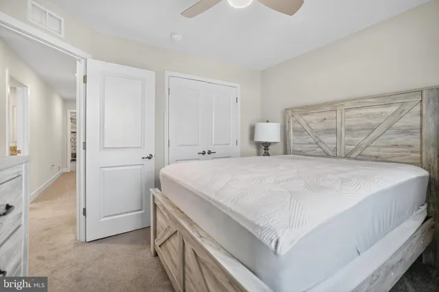 a bedroom with a bed and a walk in closet