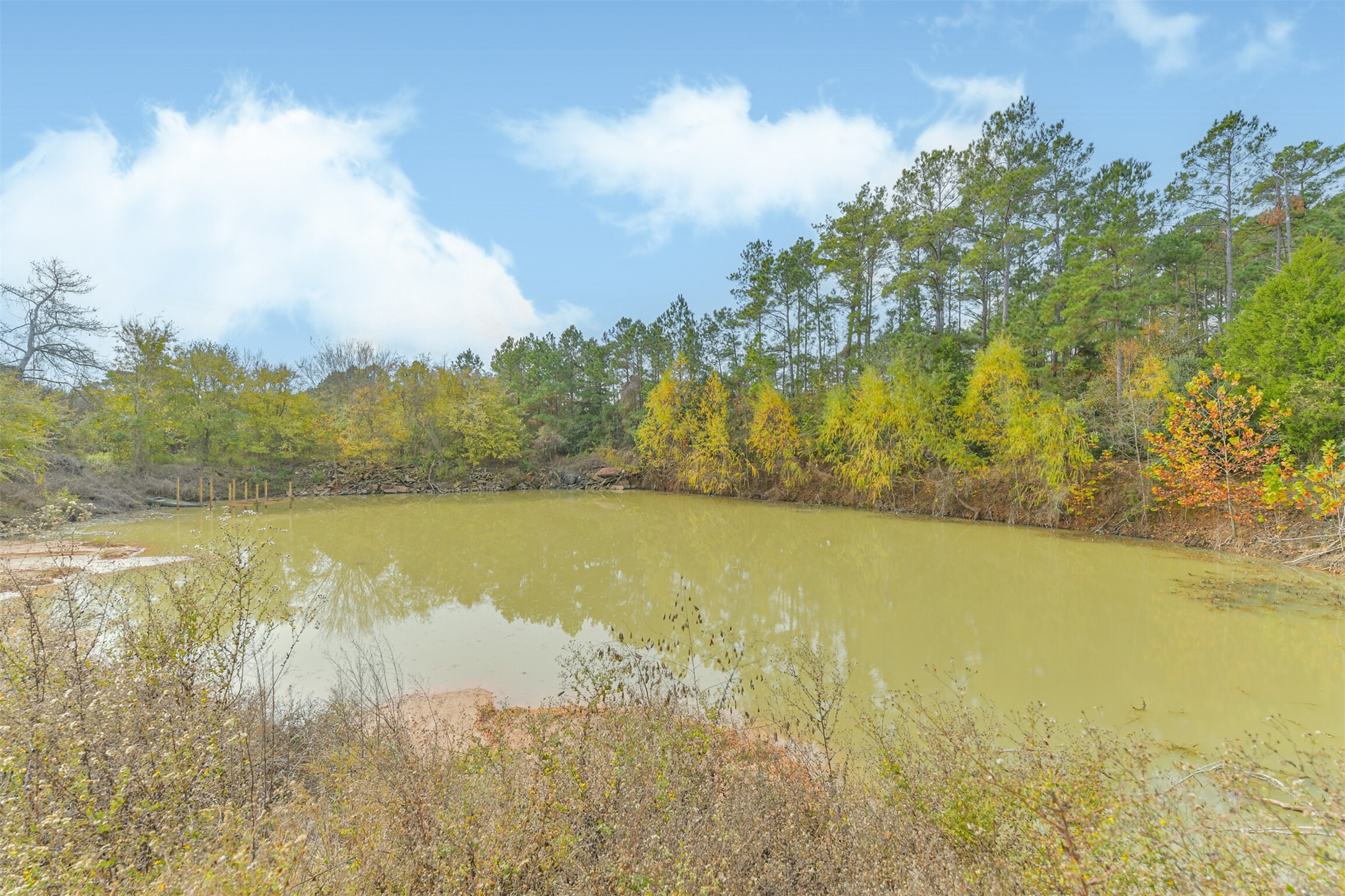 22422 Tomball Cemetery Road Tomball, TX 77377 - Photo 16 of 17 a view of an ocean