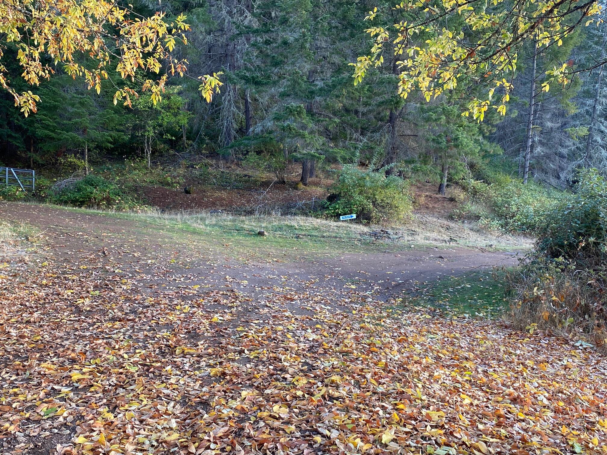 0 Elk Creek Road, Unit 500 Trail, OR 97541 - Photo 7 of 44 turn right at the fork