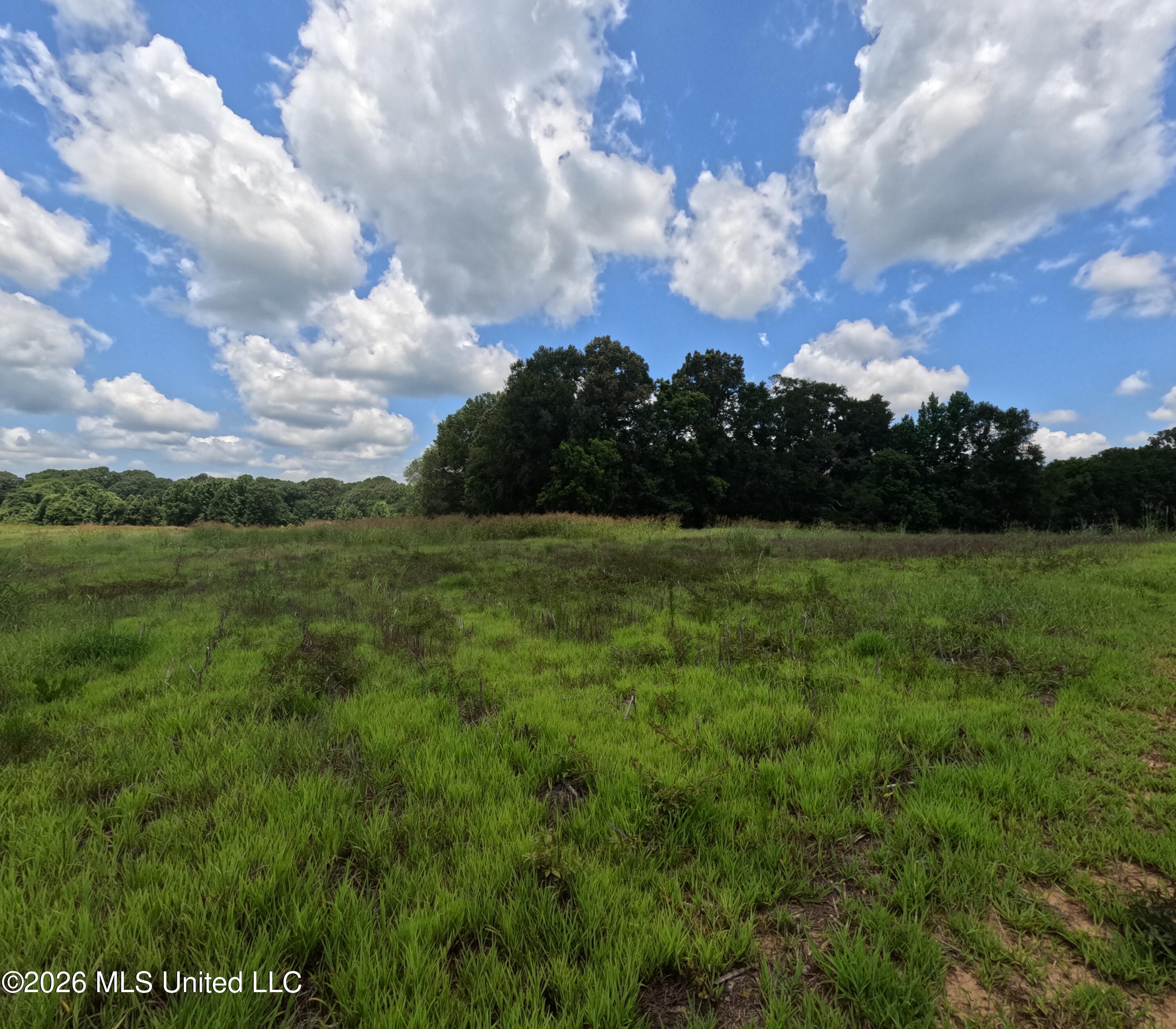 Old Port Edwards, MS 39066 - Photo 40 of 65 GOPR2220