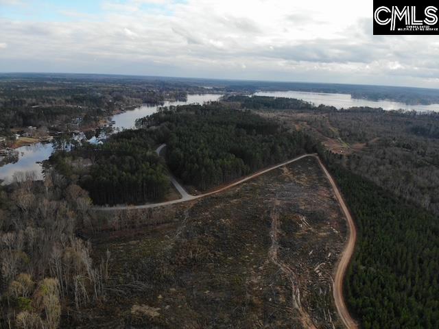 Lot 104 Pineland Road Chappells, SC 29037 - Photo 18 of 25