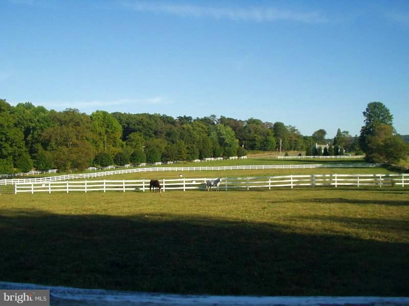 4117 Garfield Road Smithsburg, MD 21783 - Photo 14 of 30 Amazing Pastures