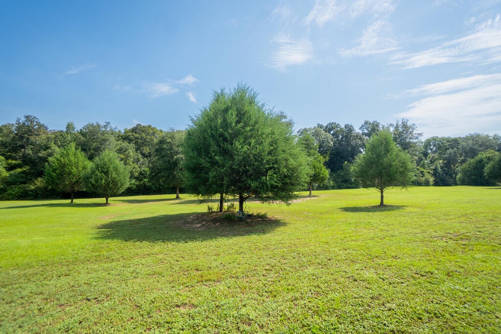 1087 Bruner Pond Road Ashford, AL 36312 - Photo 12 of 57 Gallery Image 12