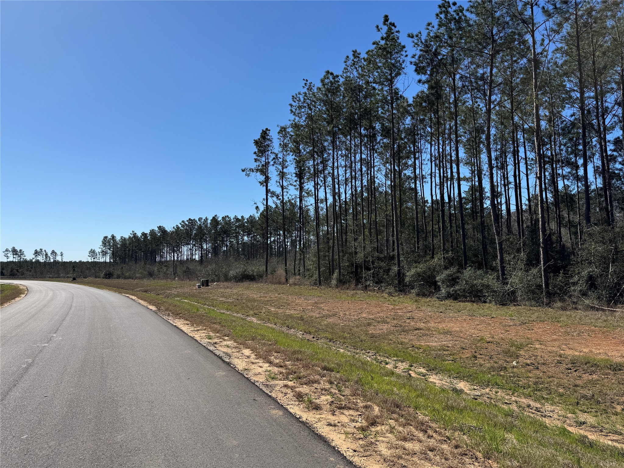 15981 Ridge Oak Road Willis, TX 77378 - Photo 8 of 26