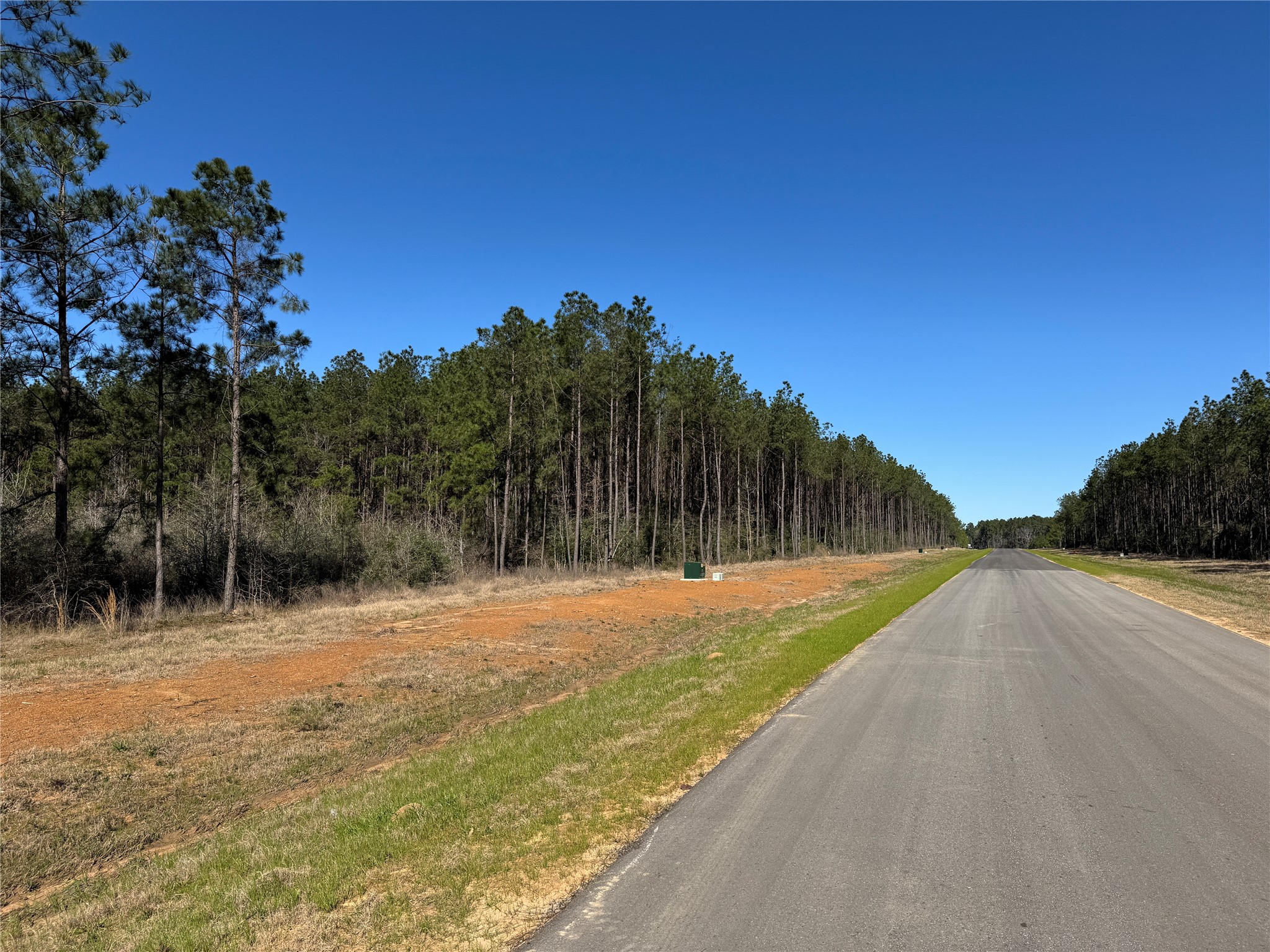 15981 Ridge Oak Road Willis, TX 77378 - Photo 10 of 26