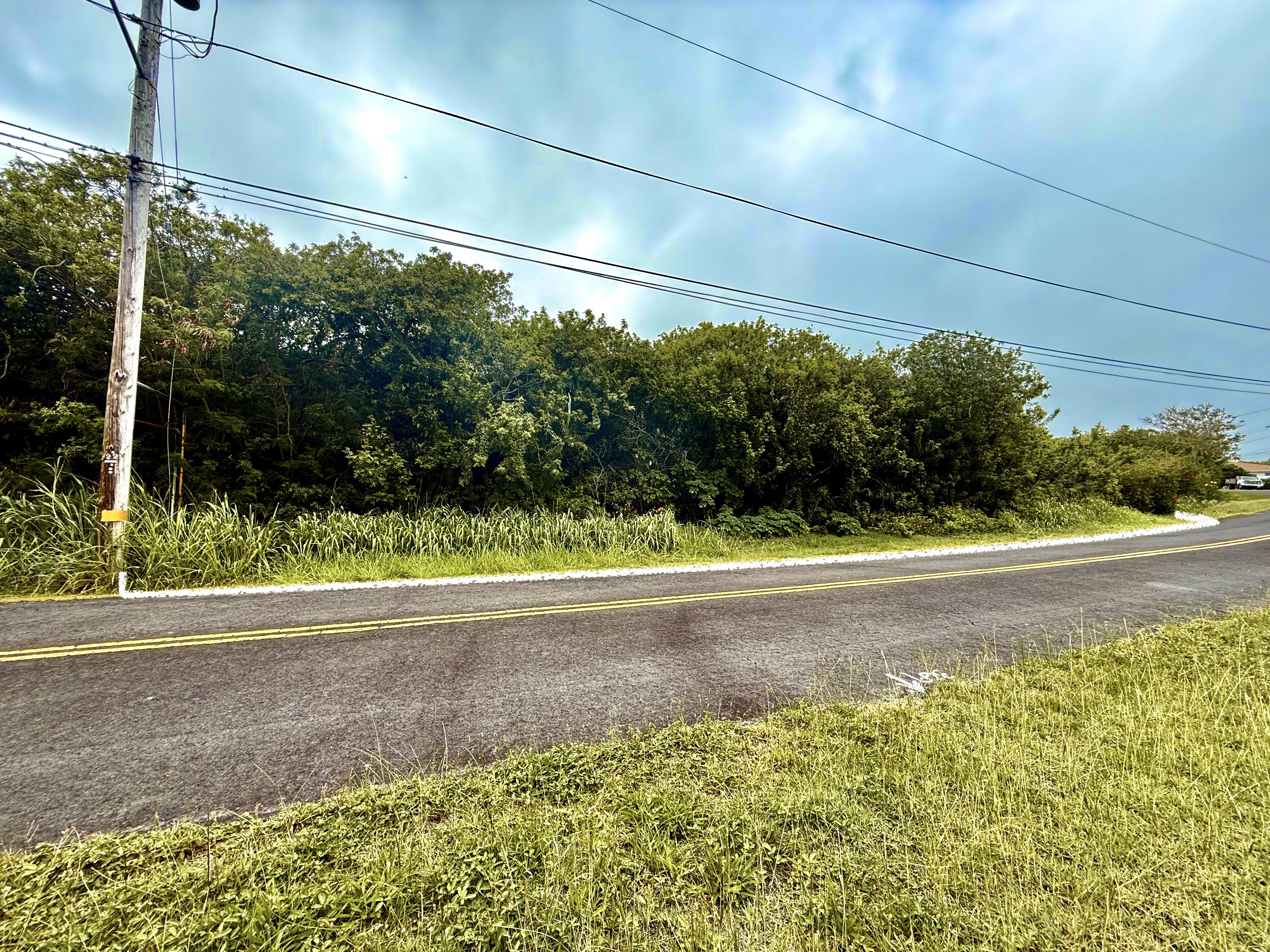 331 Kaulua Street Naalehu, HI 96772 - Photo 3 of 5