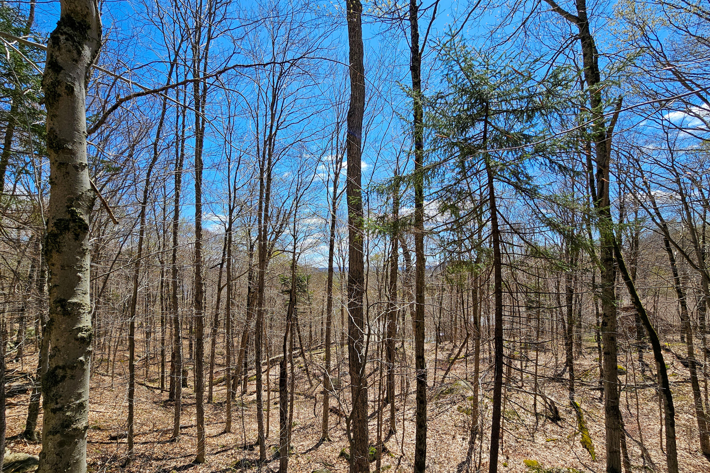 0 Palisades Road West Old Forge, NY 13420 - Photo 12 of 15 20250510_130408