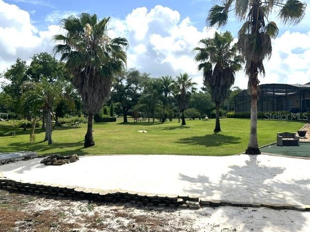 11325 Preston Cove Road Clermont, FL 34711 - Photo 49 of 58 a view of a park with palm trees