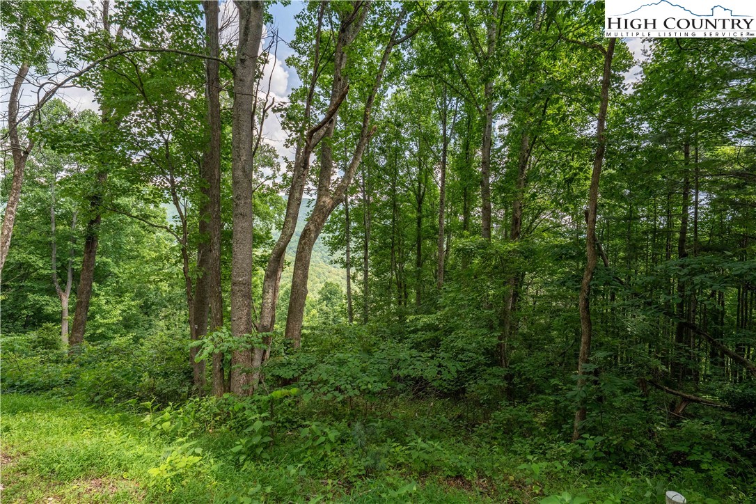 Lot 12 Lake Ridge Butler, TN 37640 - Photo 21 of 22