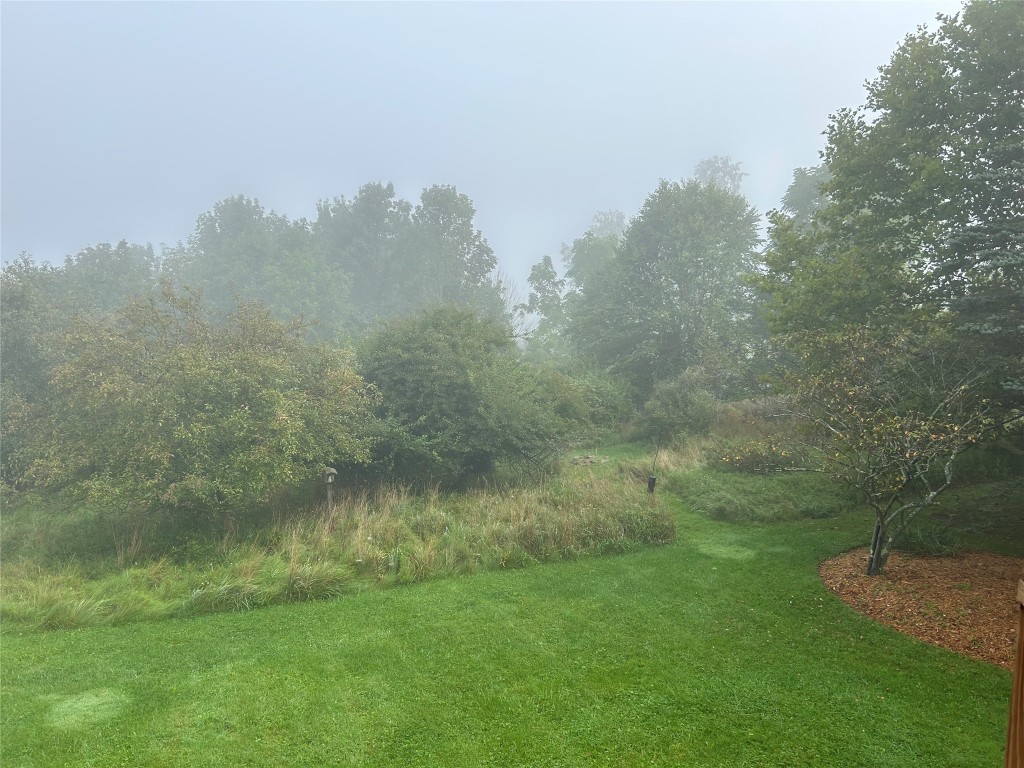 3129 Knapp Road Vestal, NY 13850 - Photo 48 of 49 Gallery Image 48