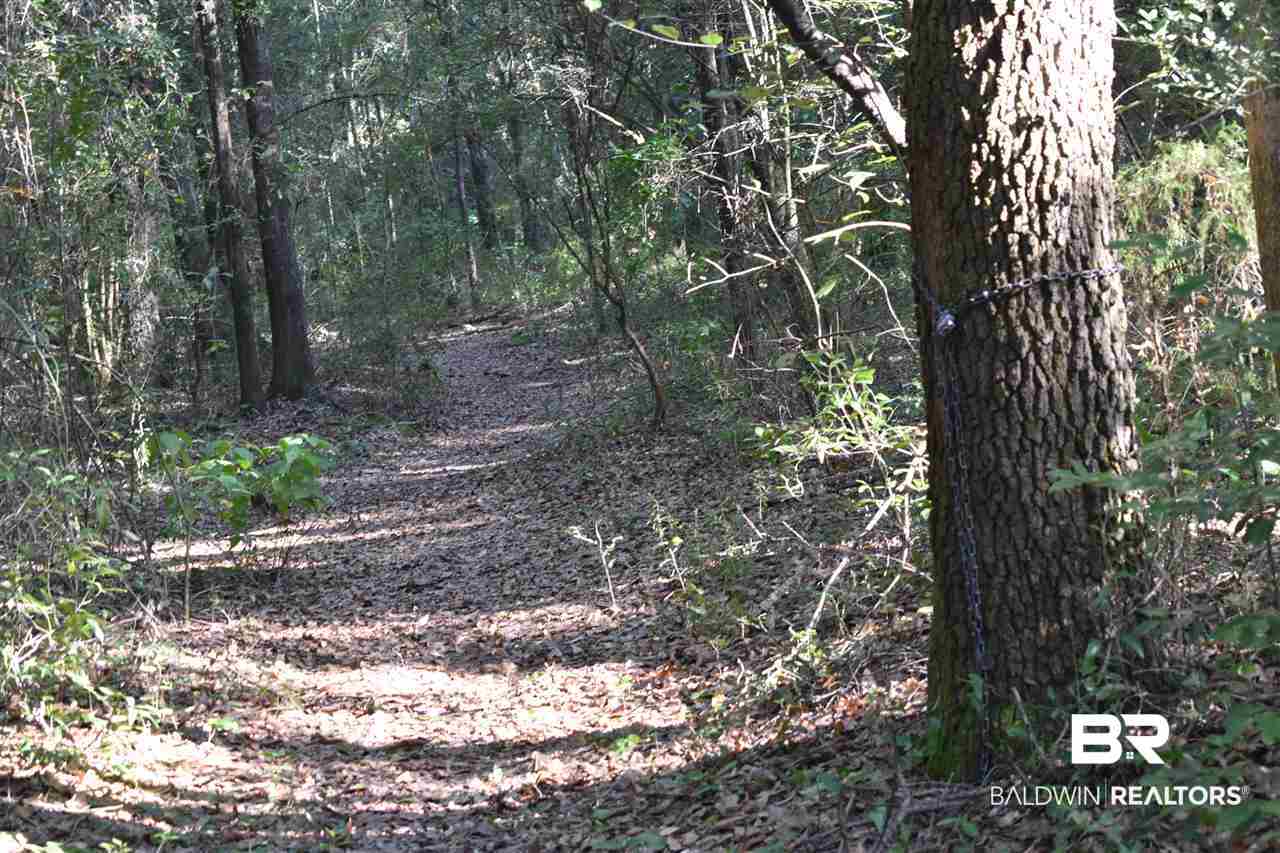 312 Riverbend Drive, Unit 312 Mobile, AL 36605 - Photo 33 of 43