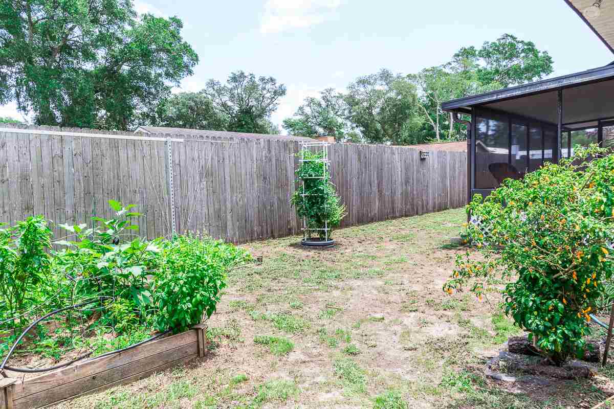 235 Hawthorne Road St. Augustine, FL 32086 - Photo 3 of 33