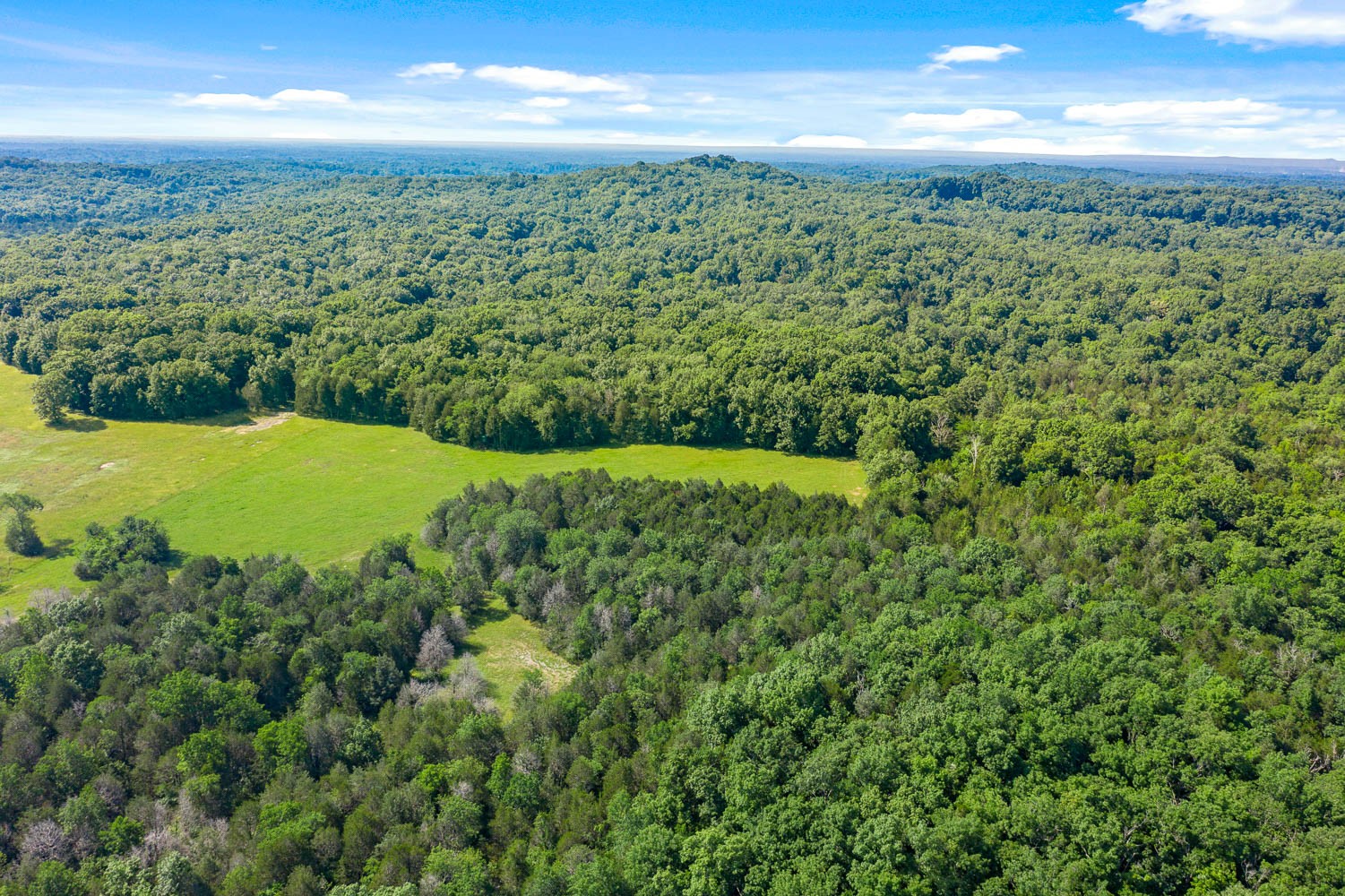 6751 Flat Creek Road College Grove, TN 37046 - Photo 1 of 50 Gallery Image 1