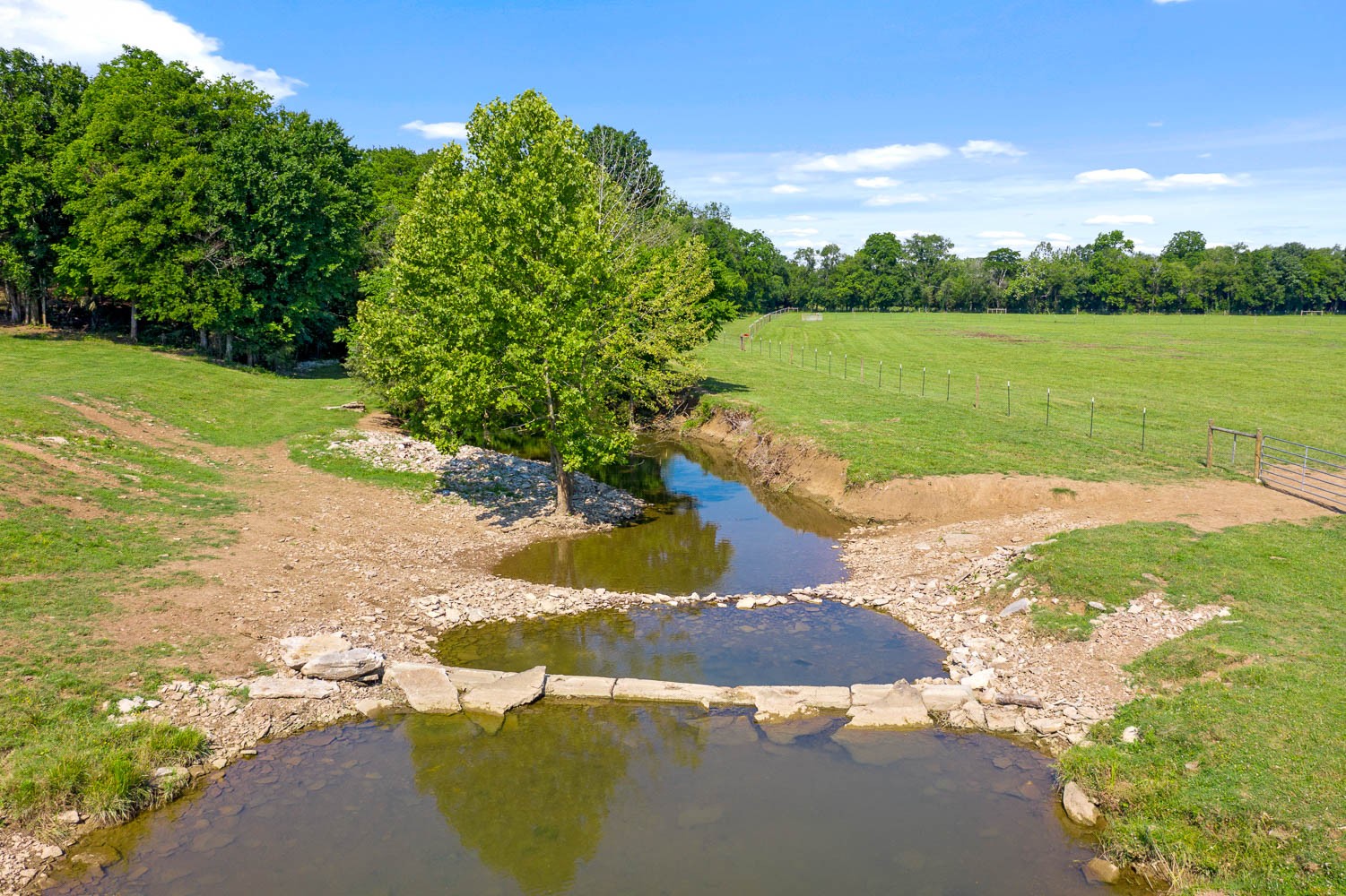 6751 Flat Creek Road College Grove, TN 37046 - Photo 14 of 50 Gallery Image 14