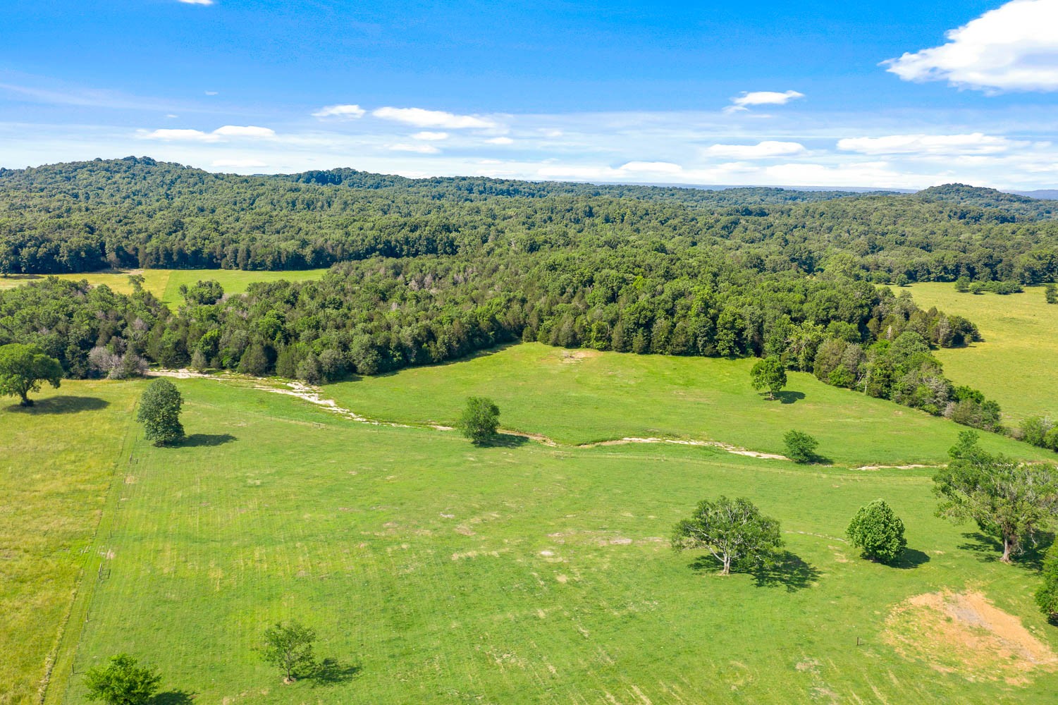 6751 Flat Creek Road College Grove, TN 37046 - Photo 17 of 50 Gallery Image 17