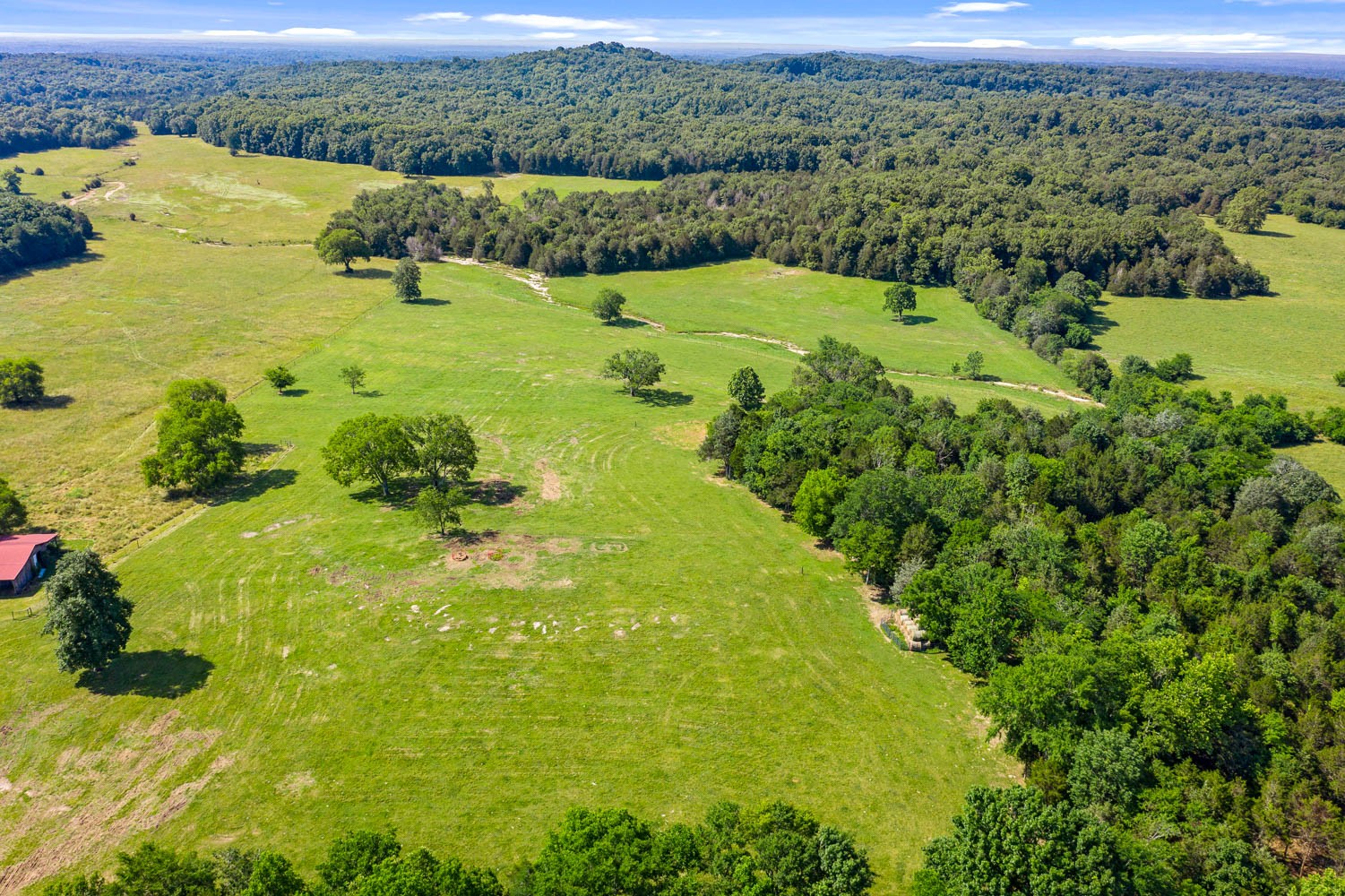 6751 Flat Creek Road College Grove, TN 37046 - Photo 22 of 50 Gallery Image 22