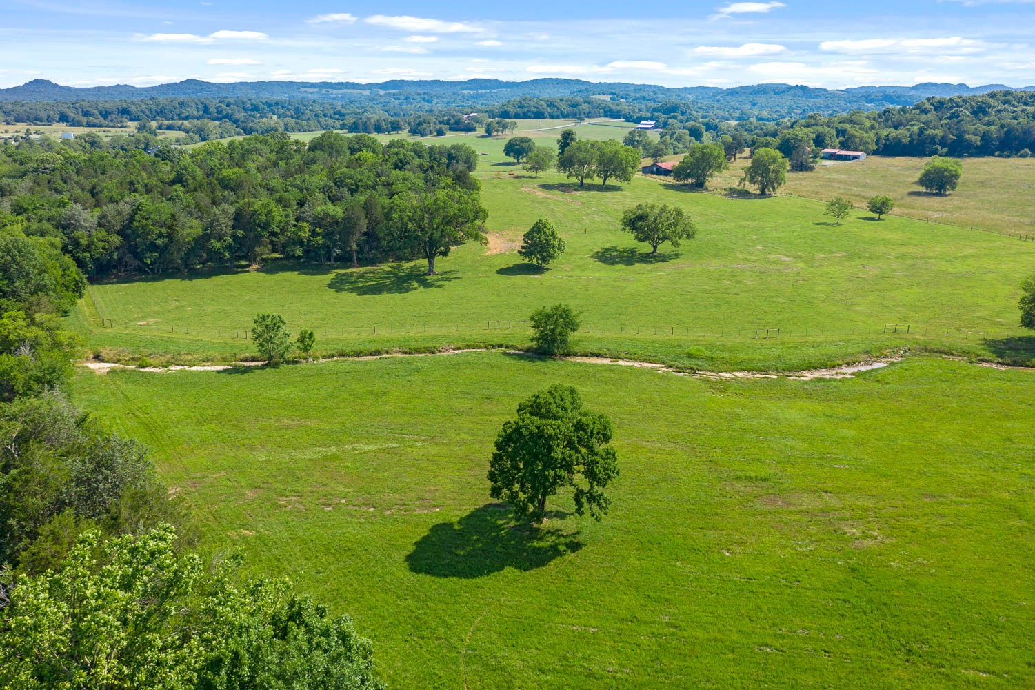 6751 Flat Creek Road College Grove, TN 37046 - Photo 23 of 50 Gallery Image 23
