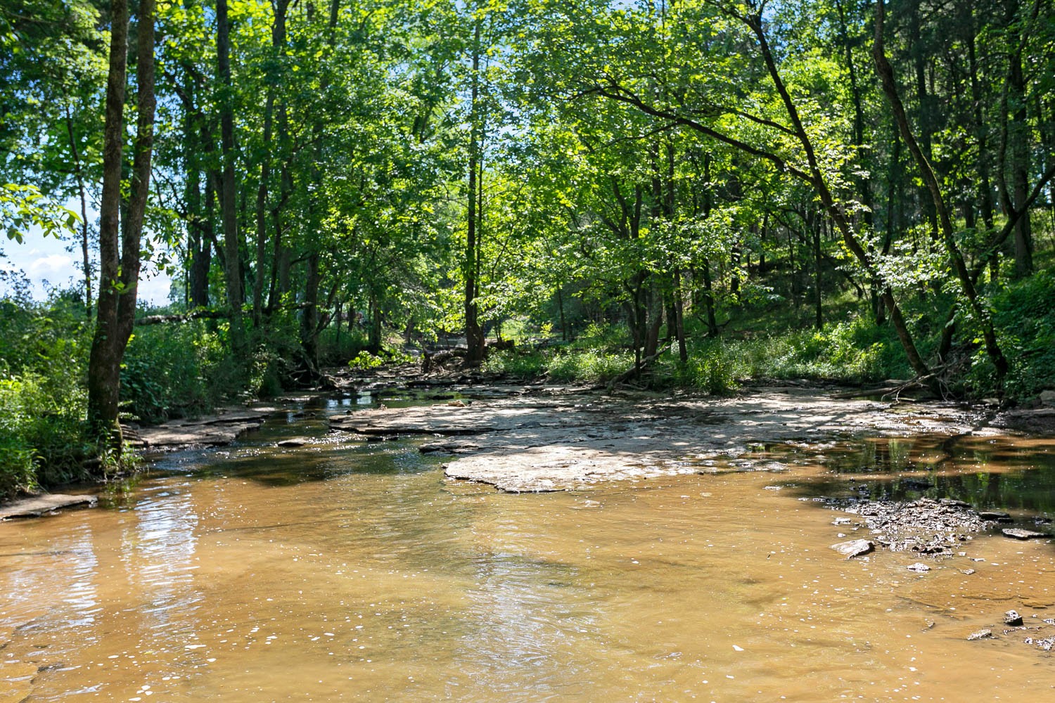 6751 Flat Creek Road College Grove, TN 37046 - Photo 39 of 50 Gallery Image 39