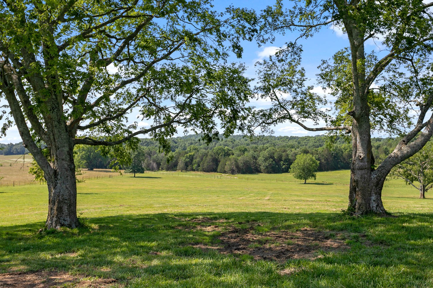 6751 Flat Creek Road College Grove, TN 37046 - Photo 40 of 50 Gallery Image 40