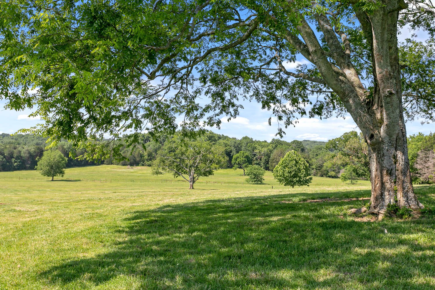 6751 Flat Creek Road College Grove, TN 37046 - Photo 41 of 50 Gallery Image 41