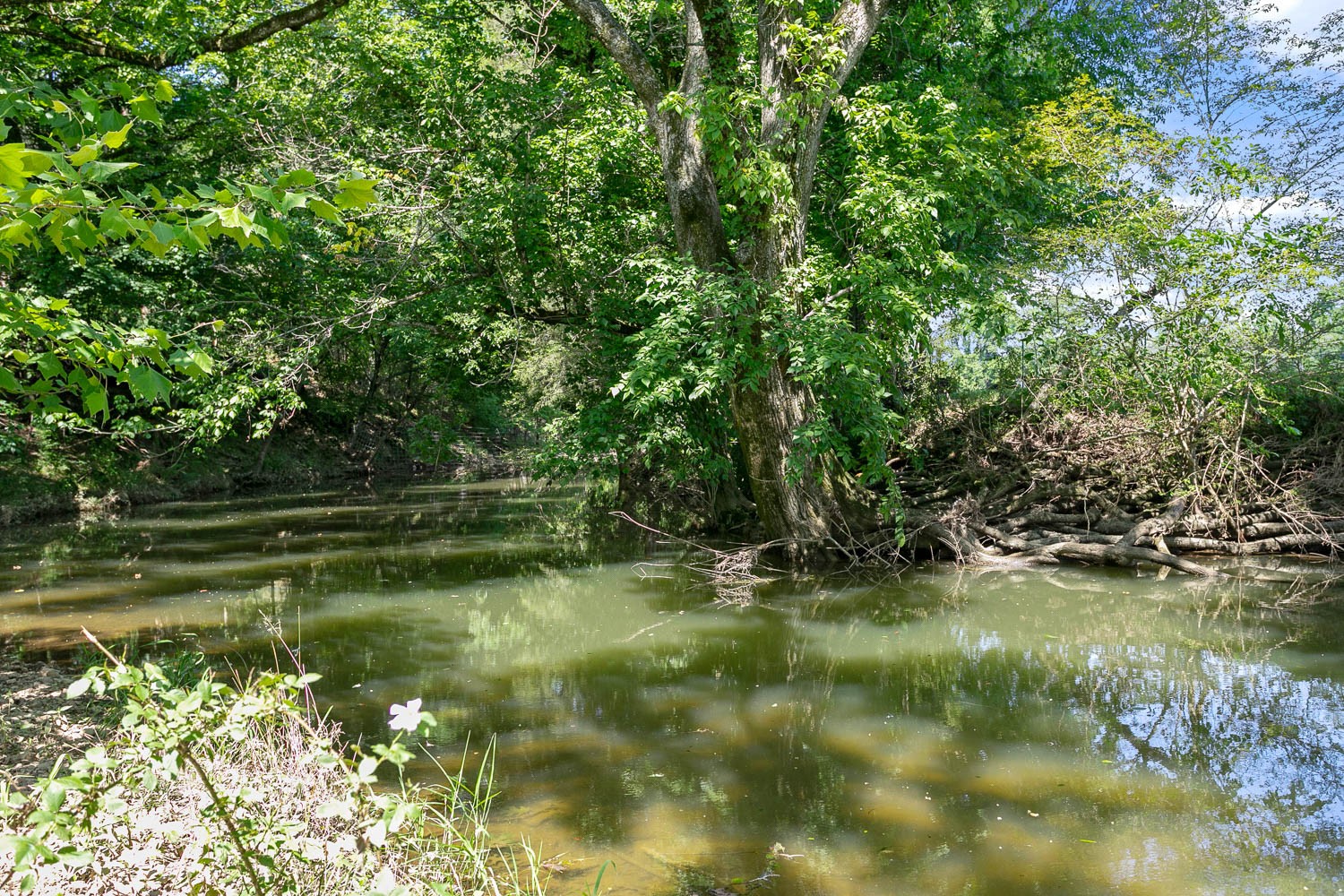 6751 Flat Creek Road College Grove, TN 37046 - Photo 42 of 50 Gallery Image 42