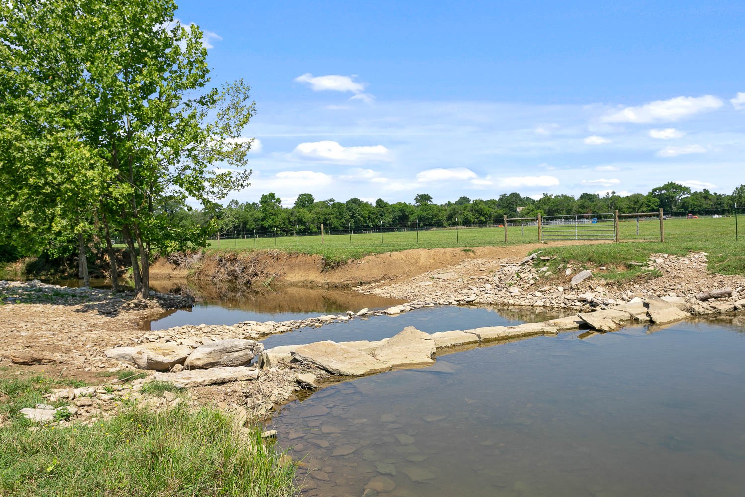 6751 Flat Creek Road College Grove, TN 37046 - Photo 44 of 50 Gallery Image 44