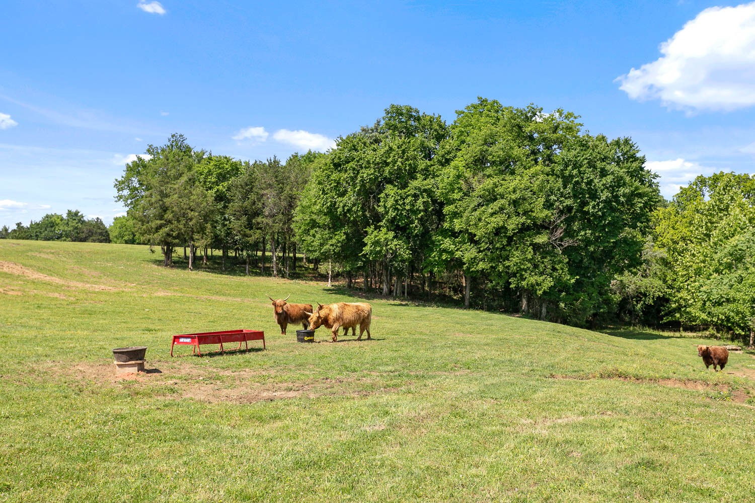 6751 Flat Creek Road College Grove, TN 37046 - Photo 45 of 50 Gallery Image 45