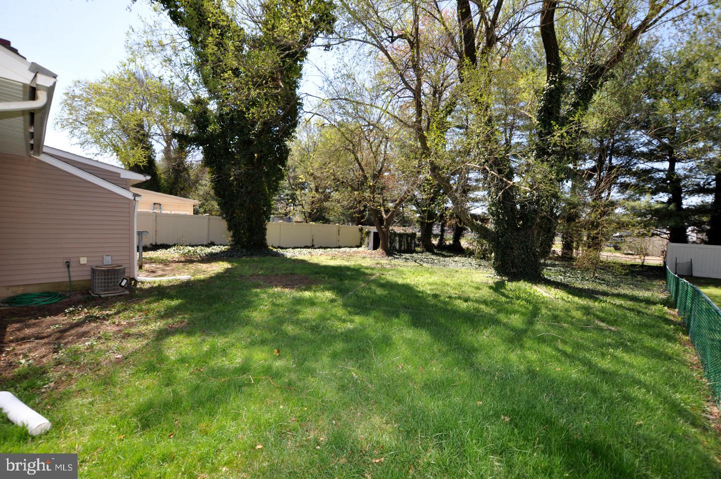 432 North Coles Avenue Maple Shade, NJ 08052 - Photo 22 of 26 a view of a backyard with a large tree
