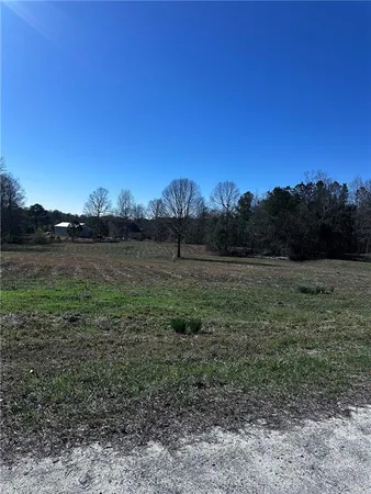 a view of a field with trees in the background