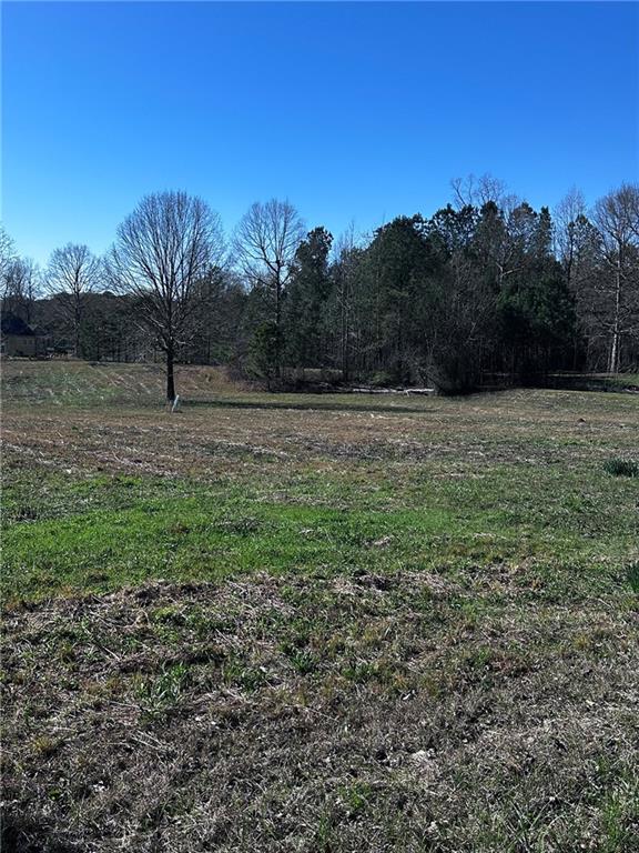 8395 Vernon Grove Road Chattahoochee Hills, GA 30268 - Photo 2 of 3 a view of outdoor space with trees all around
