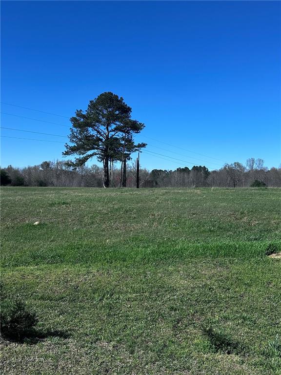 8395 Vernon Grove Road Chattahoochee Hills, GA 30268 - Photo 3 of 3 a view of a grassy field with trees in the background