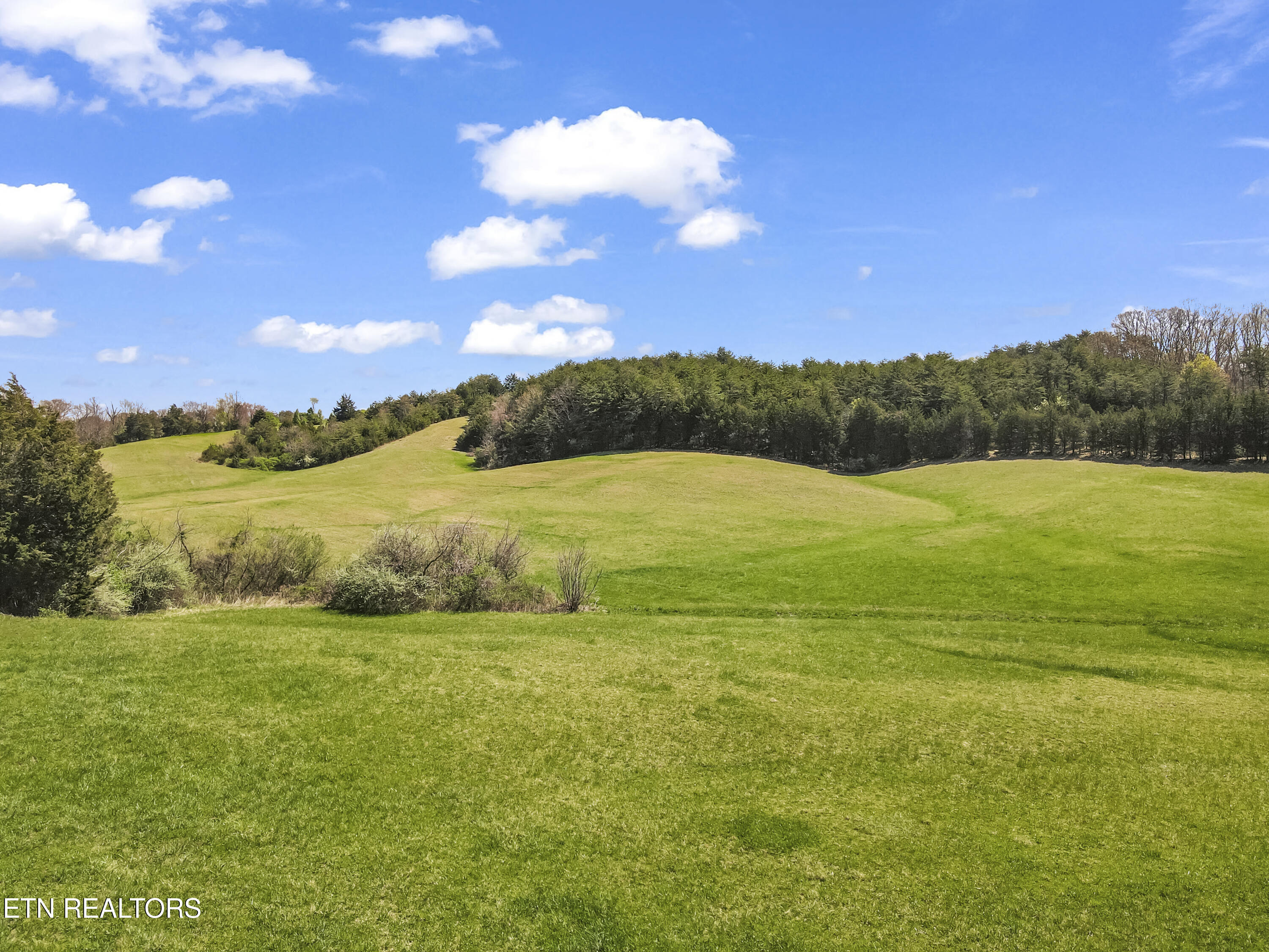 350 Phillipi Road Mohawk, TN 37810 - Photo 5 of 40 DJI_0037