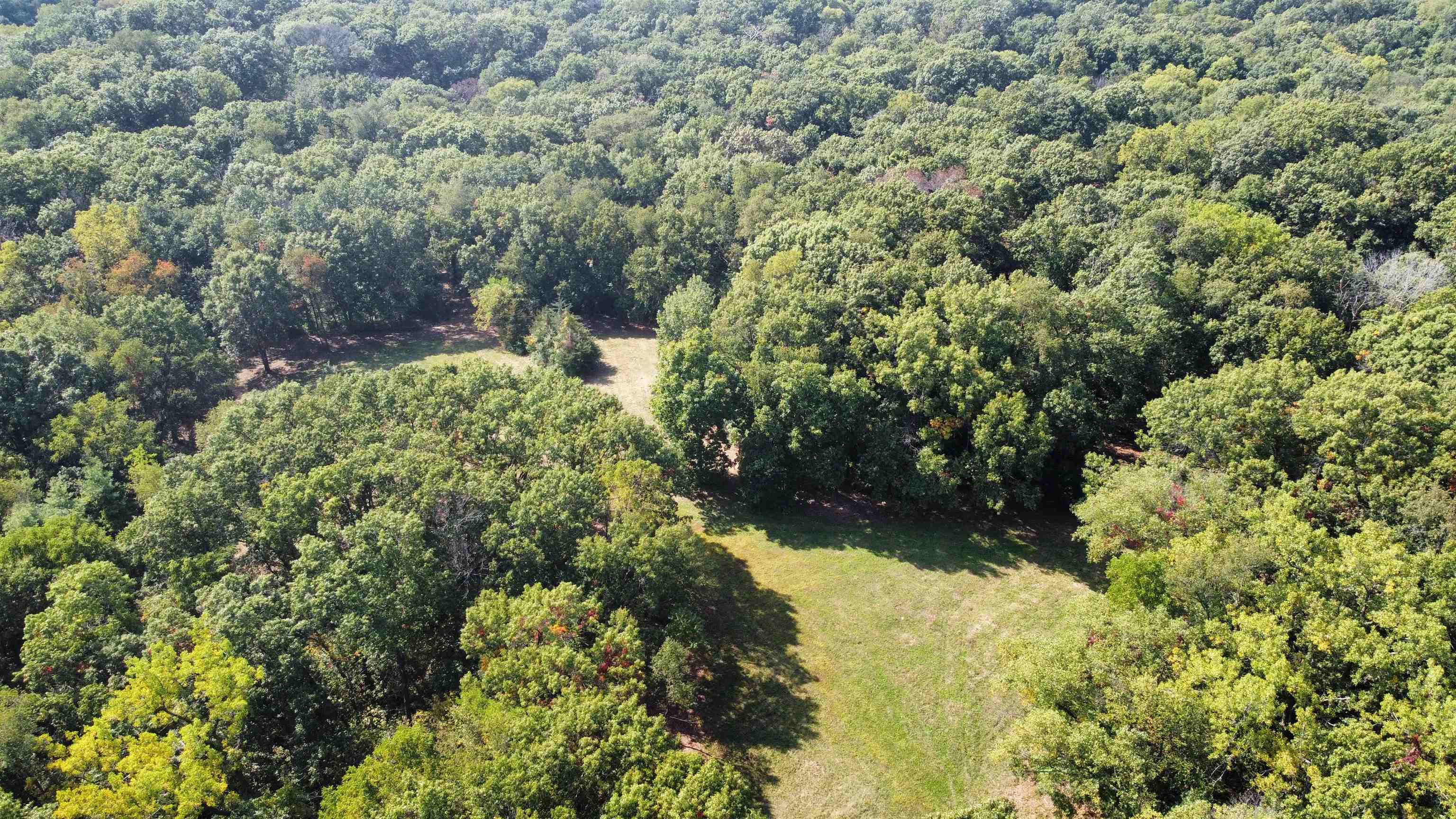 Three Mile Road Savanna, IL 61074 - Photo 11 of 57 a view of a forest with a tree