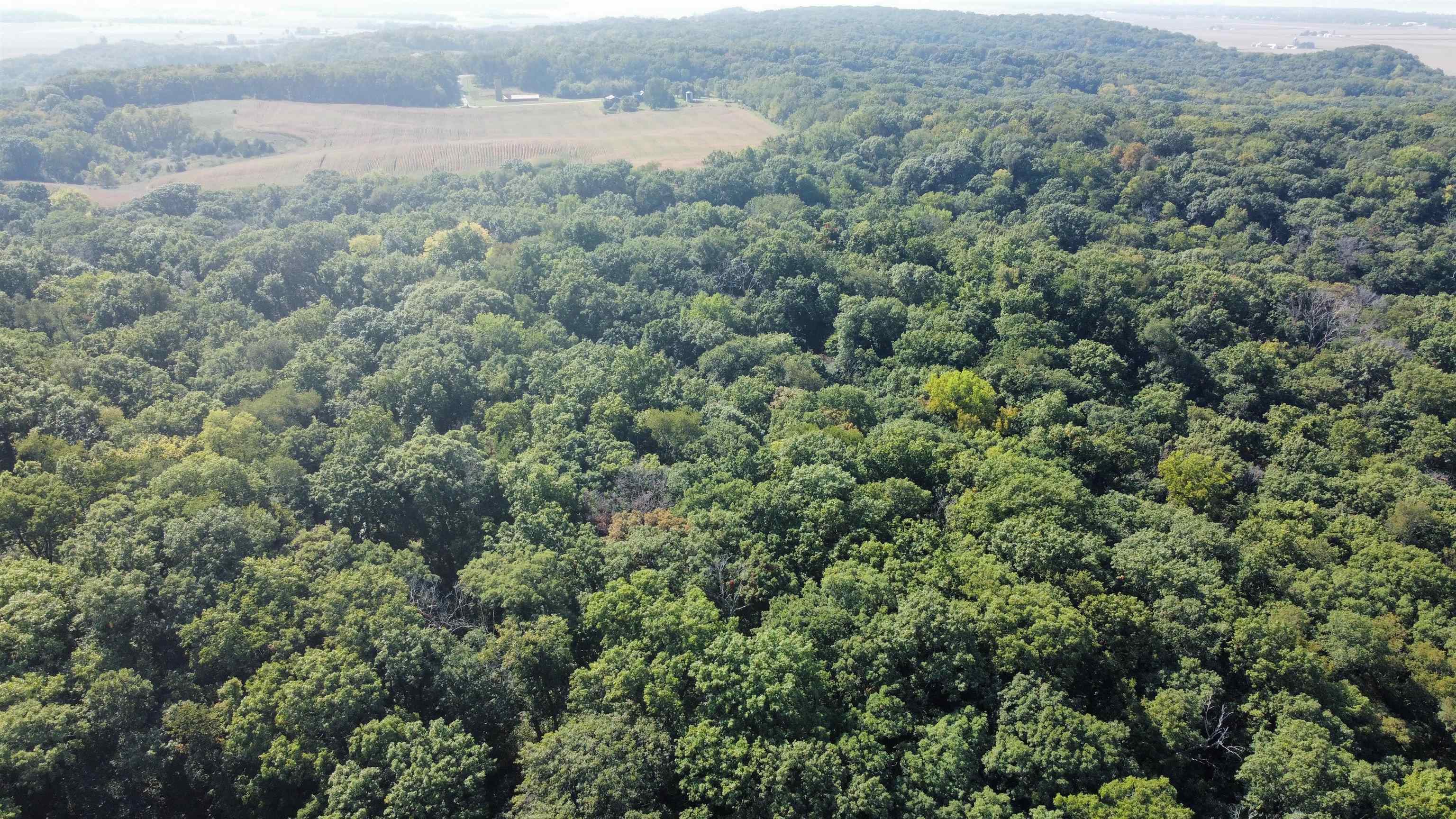 Three Mile Road Savanna, IL 61074 - Photo 15 of 57