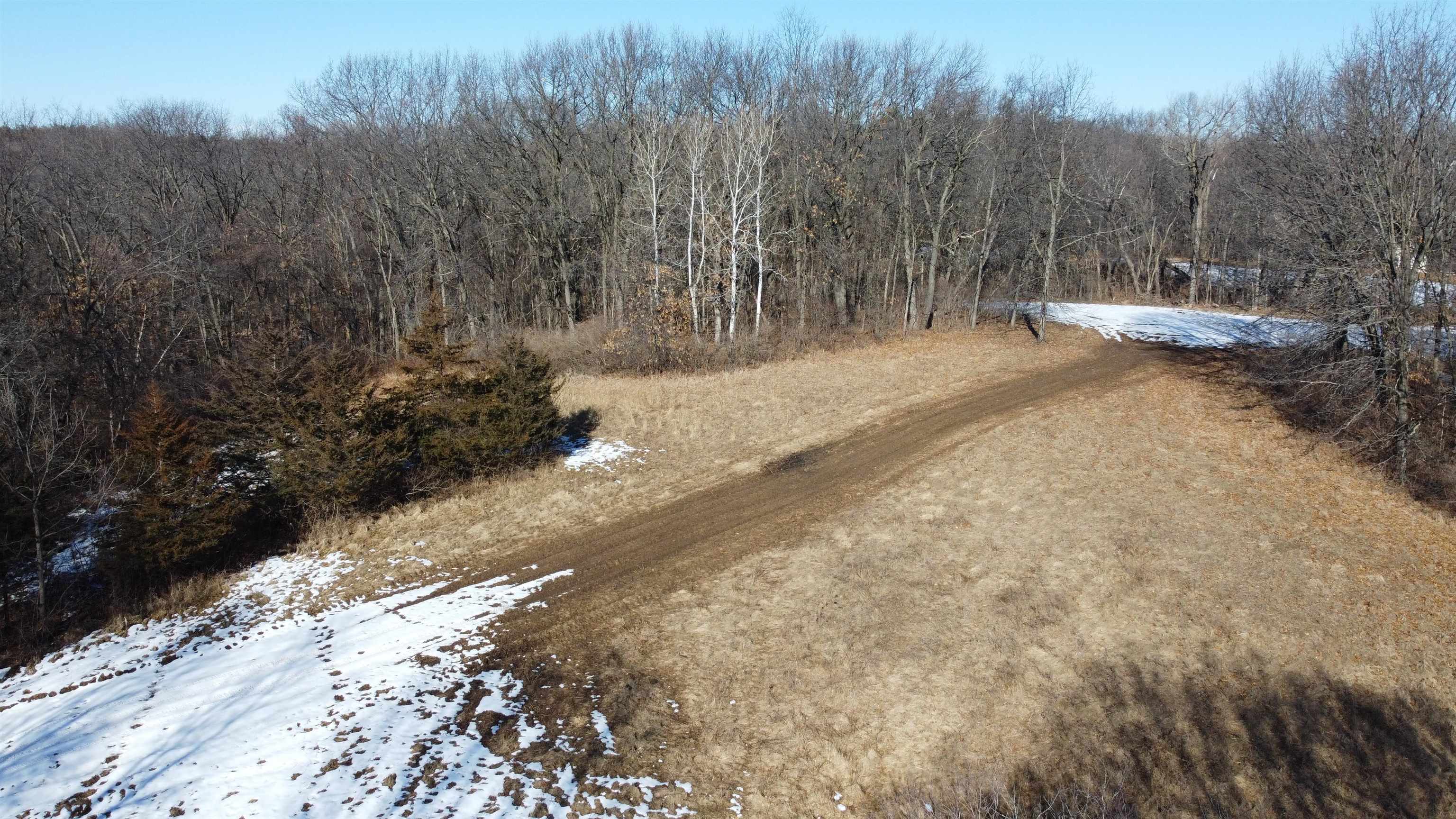 Three Mile Road Savanna, IL 61074 - Photo 24 of 57 a view of outdoor space with trees