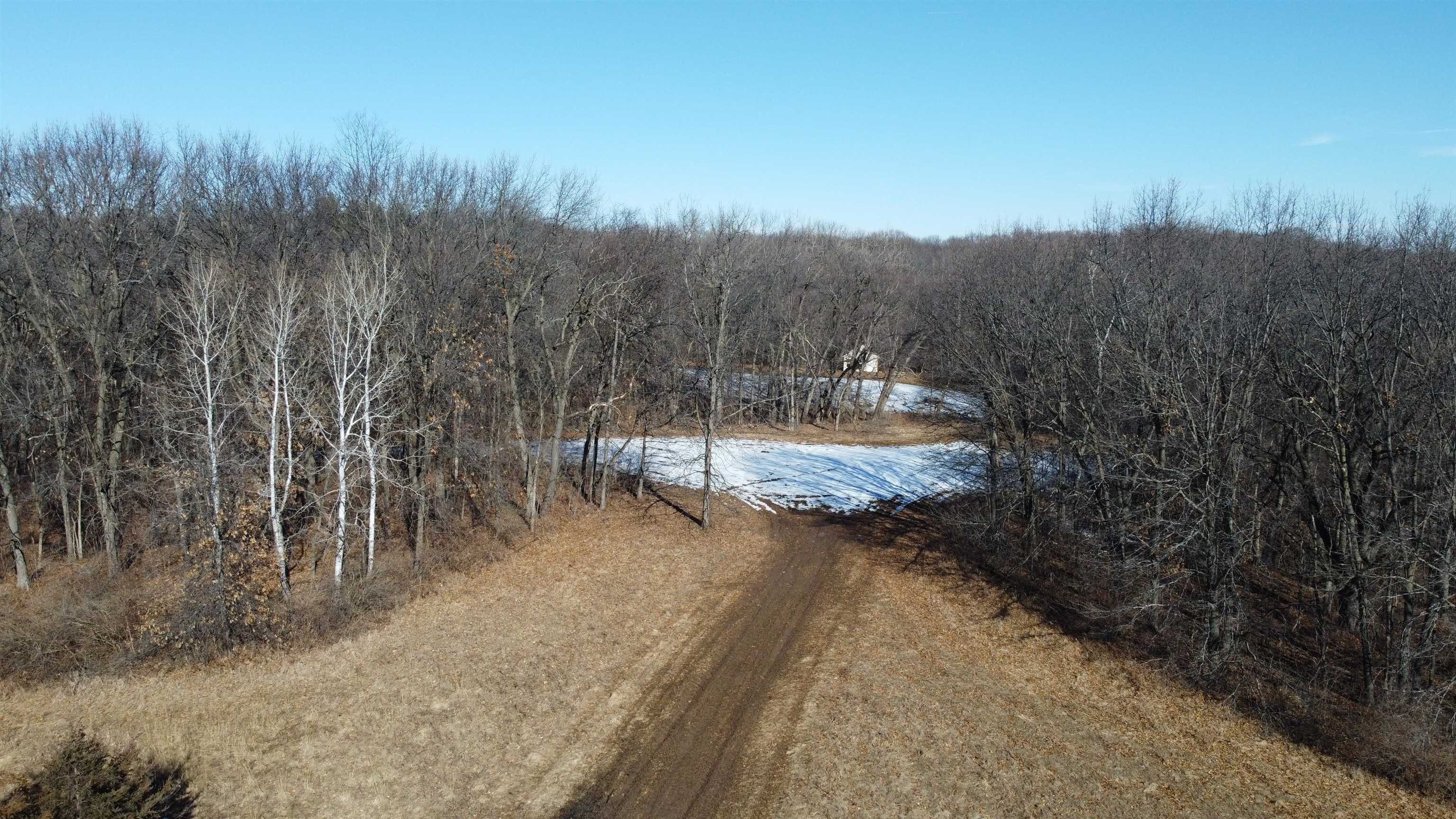 Three Mile Road Savanna, IL 61074 - Photo 25 of 57 a view of a yard with large trees