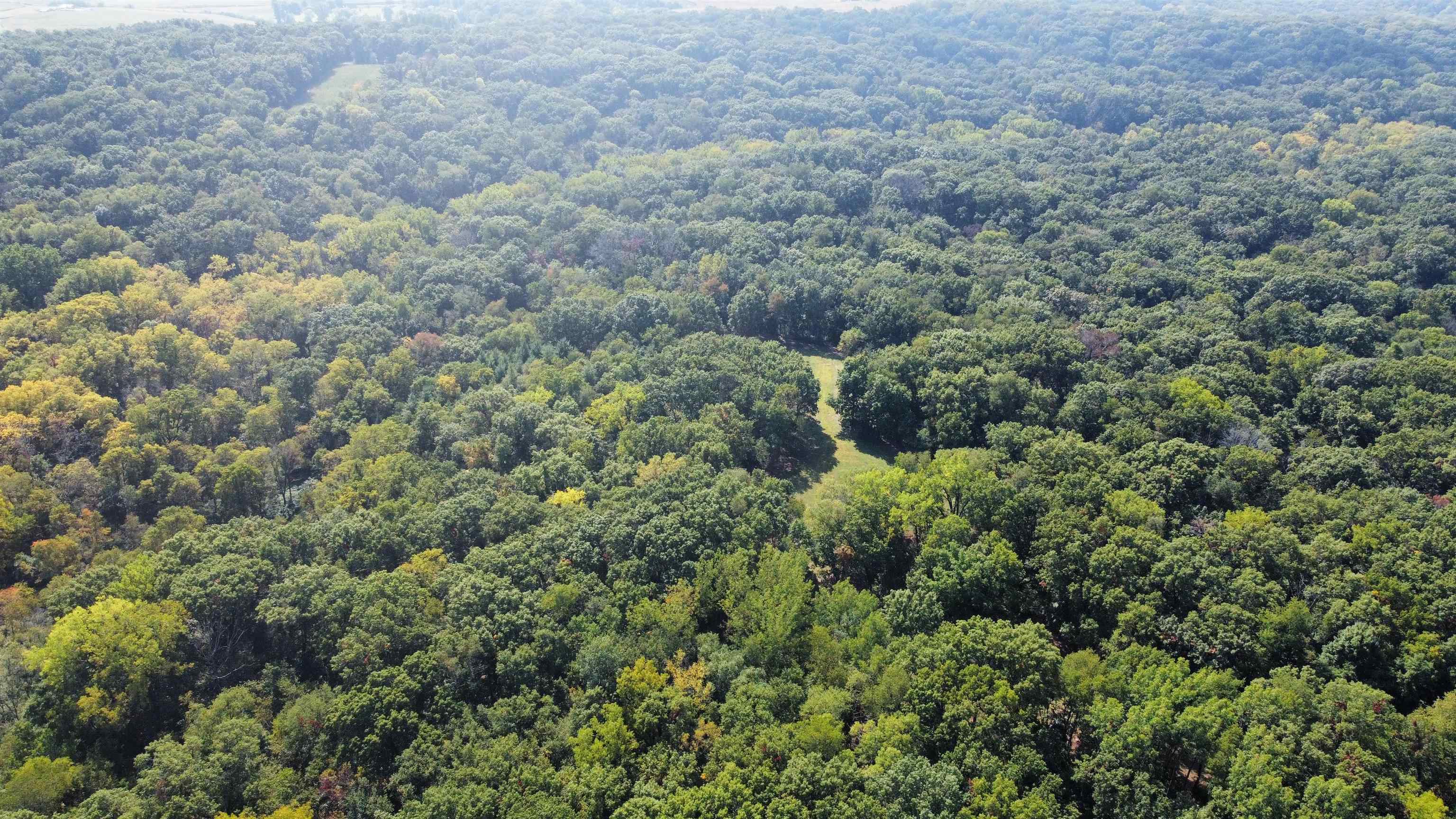 Three Mile Road Savanna, IL 61074 - Photo 3 of 57 a view of a forest with houses