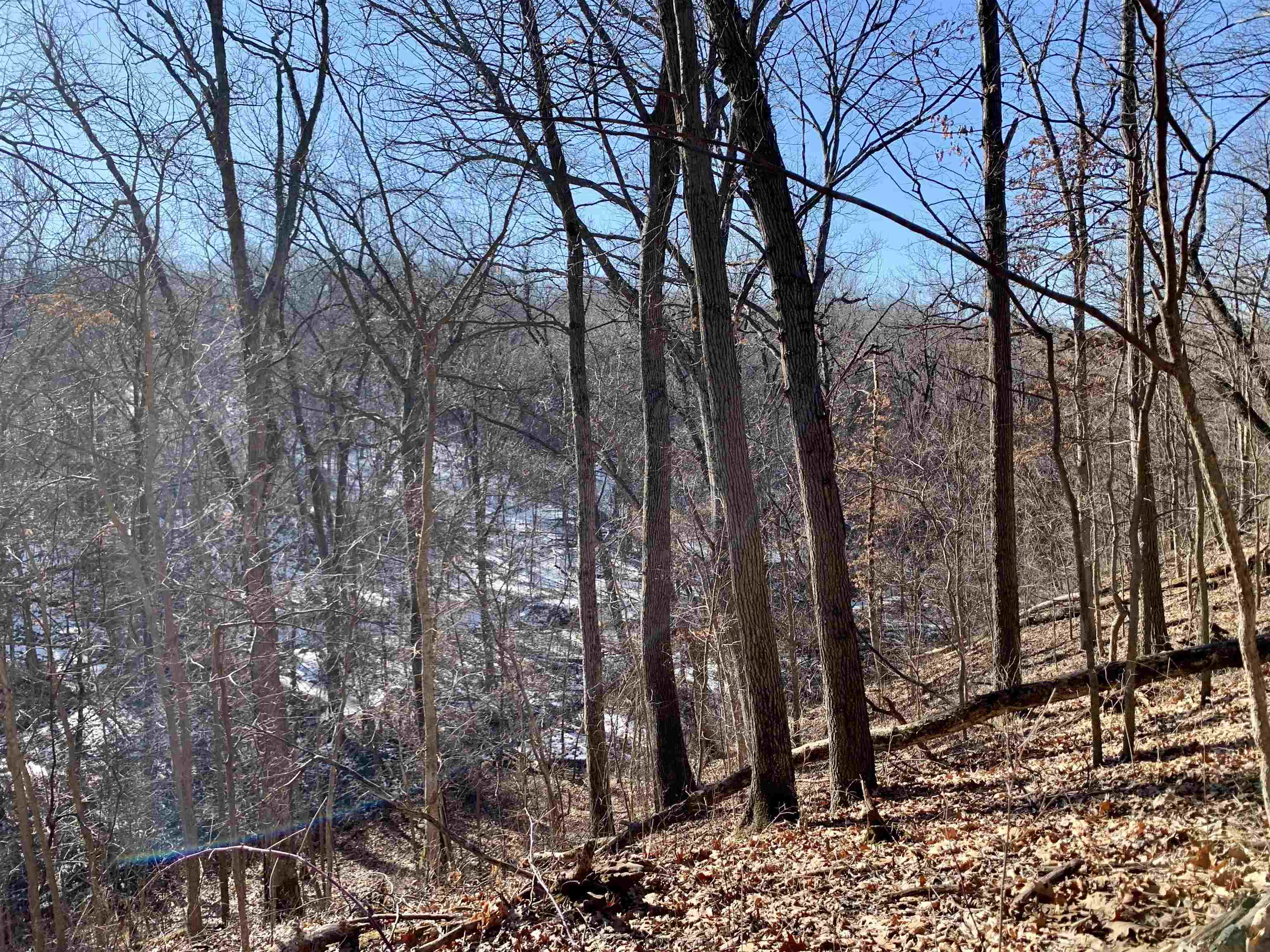 Three Mile Road Savanna, IL 61074 - Photo 41 of 57 a view of forest